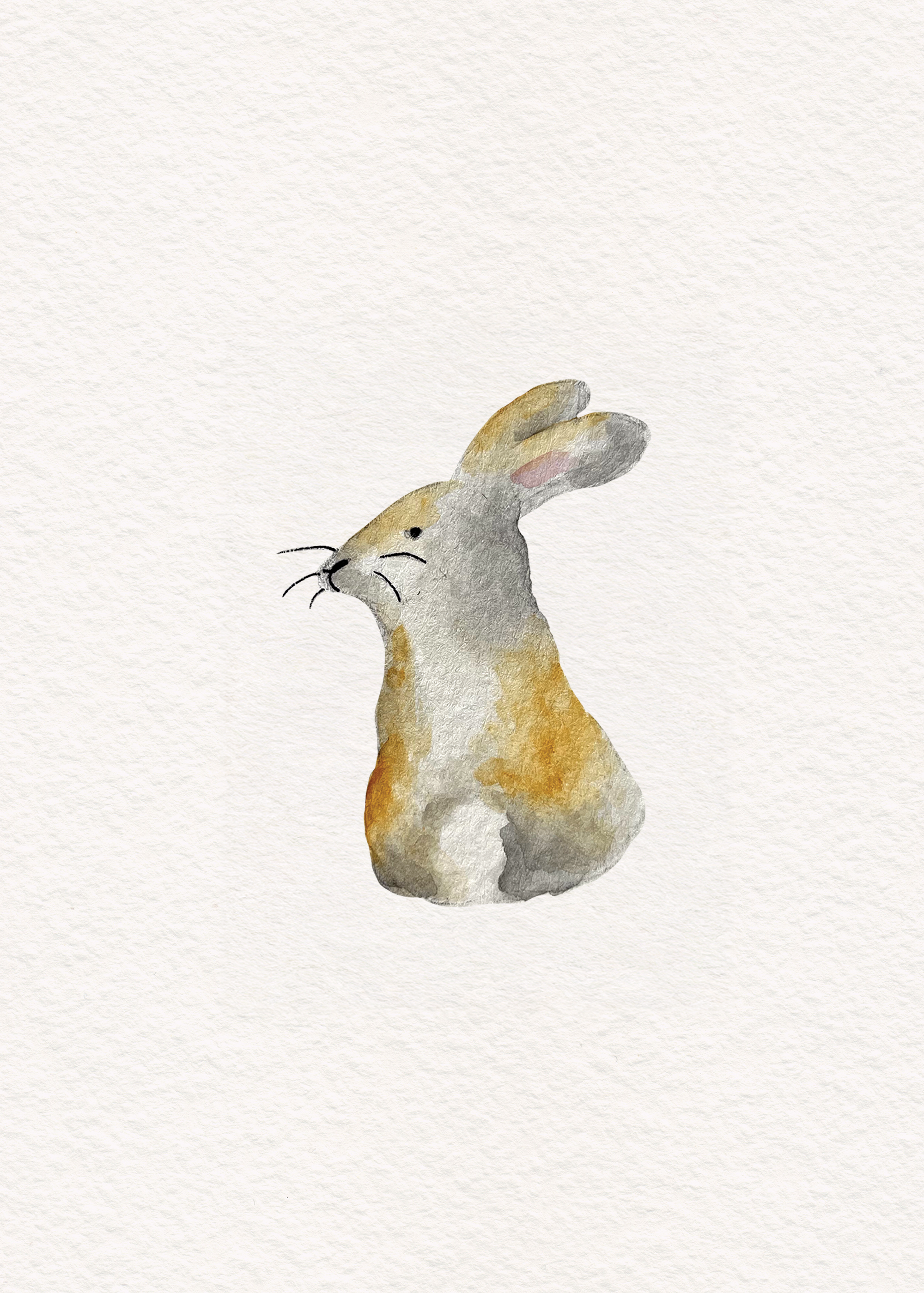 Rabbit 1