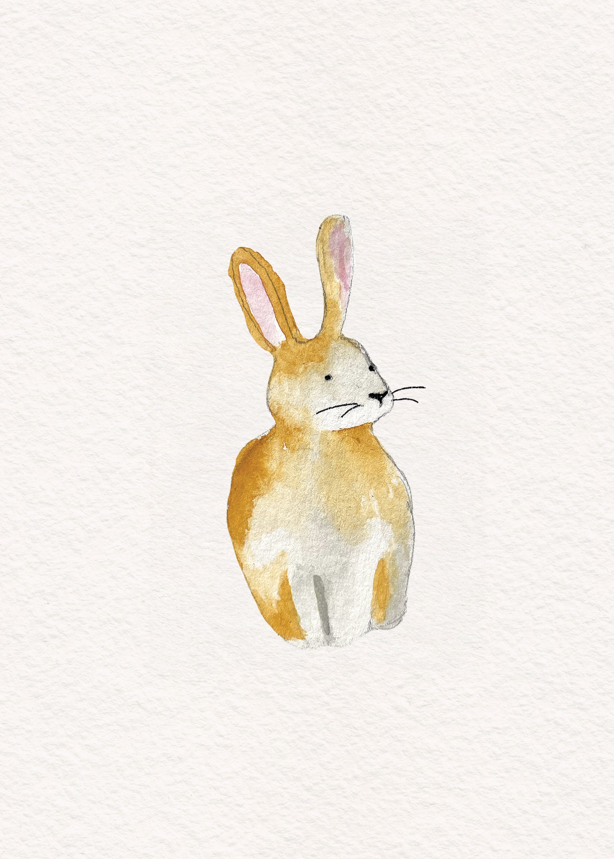 Rabbit pt. 2