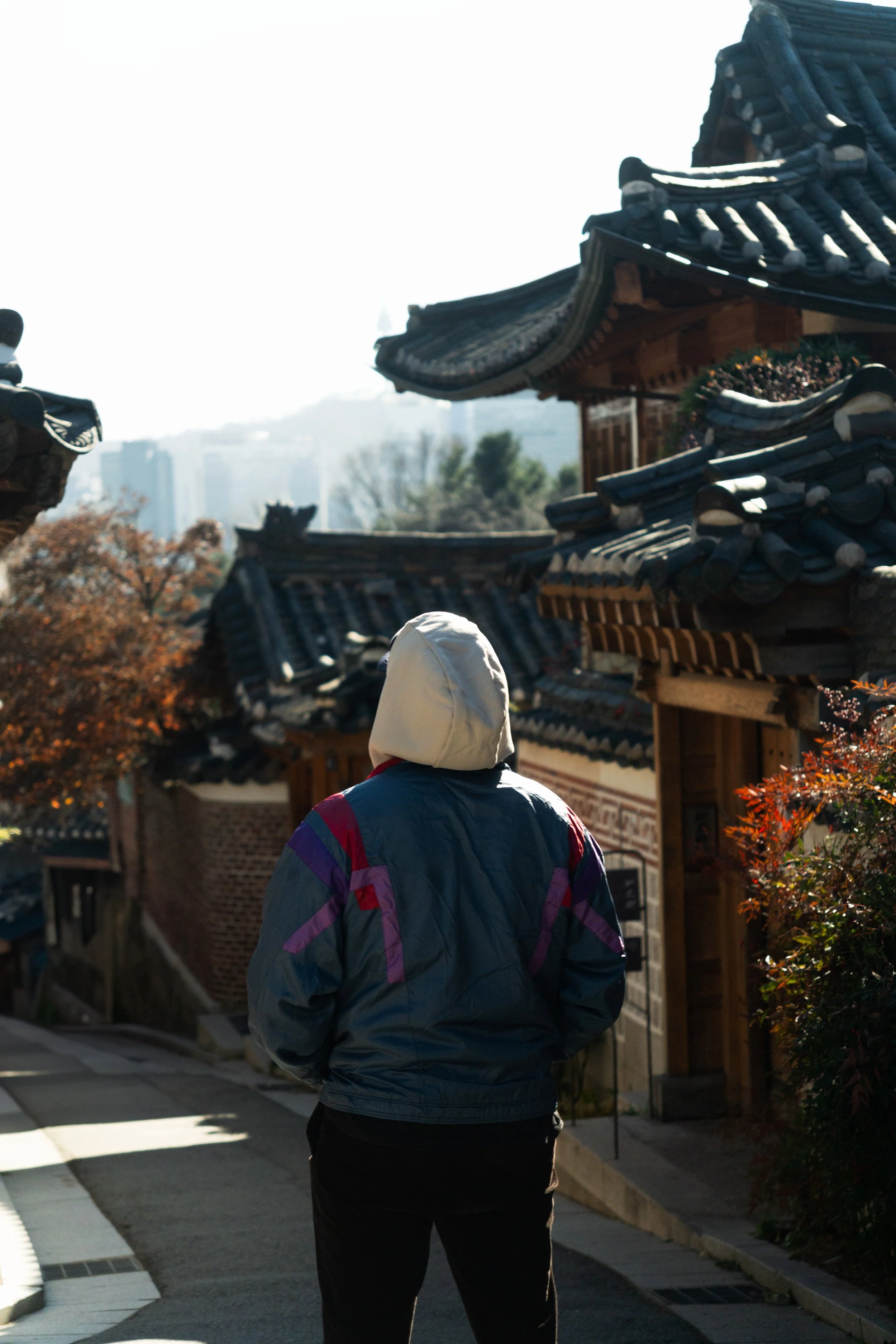 hanok_portrait.jpg