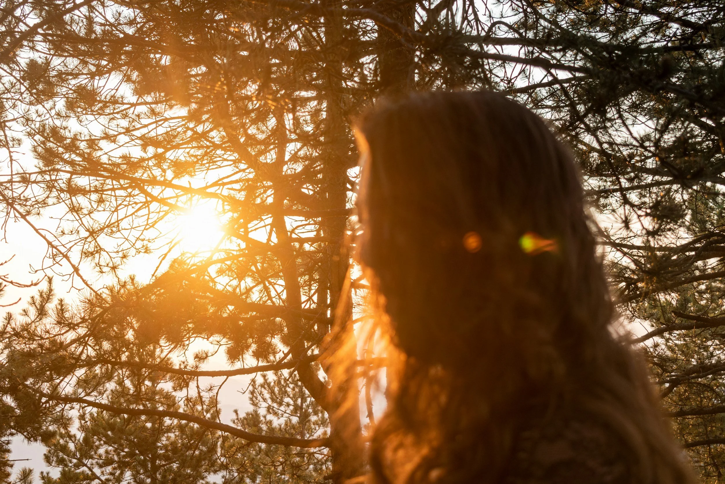 Wondering about protecting your brain health long term?