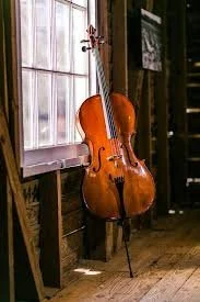 strings4.jpeg