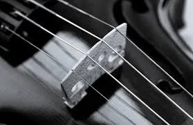 strings10.jpeg