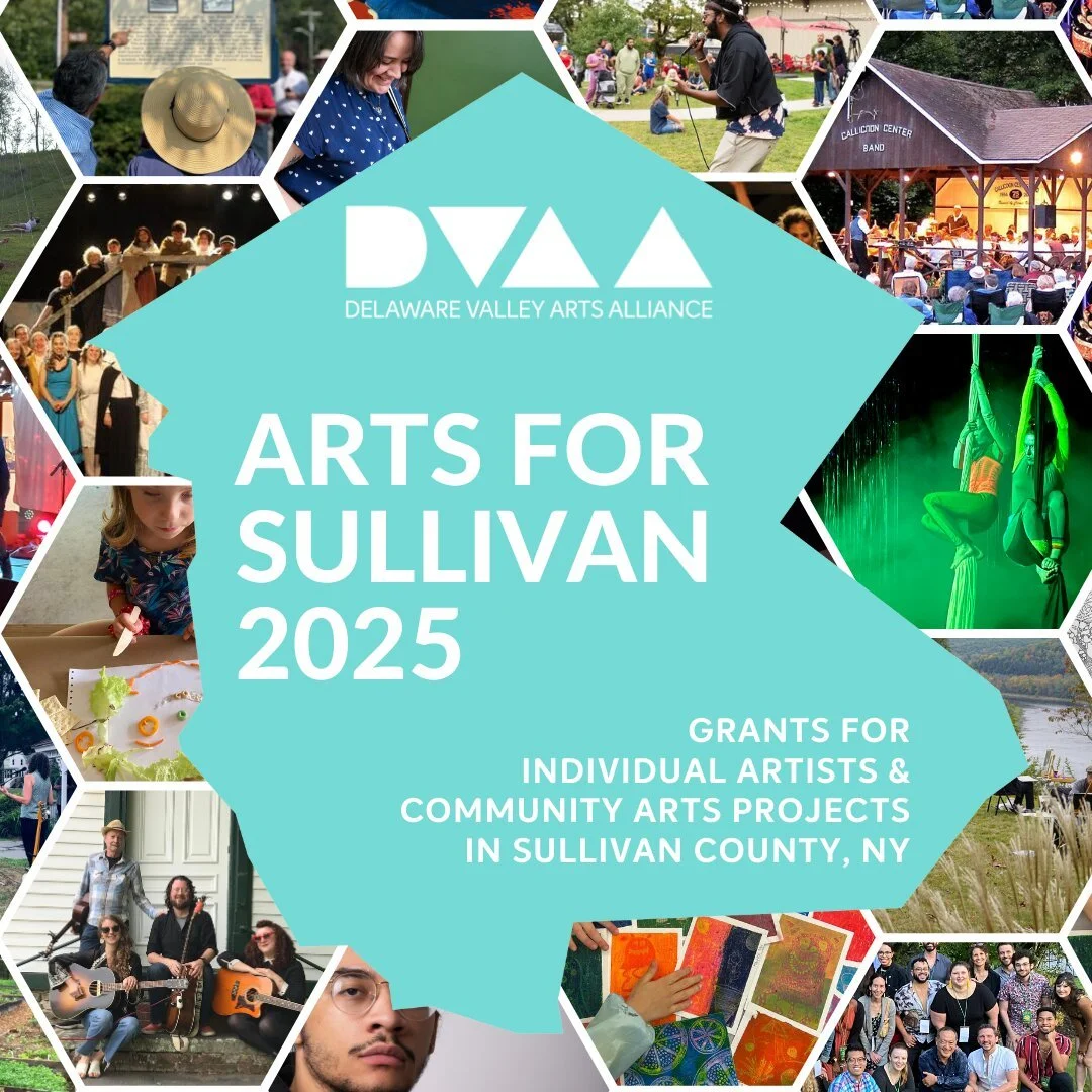 DVAA Grant writing workshop