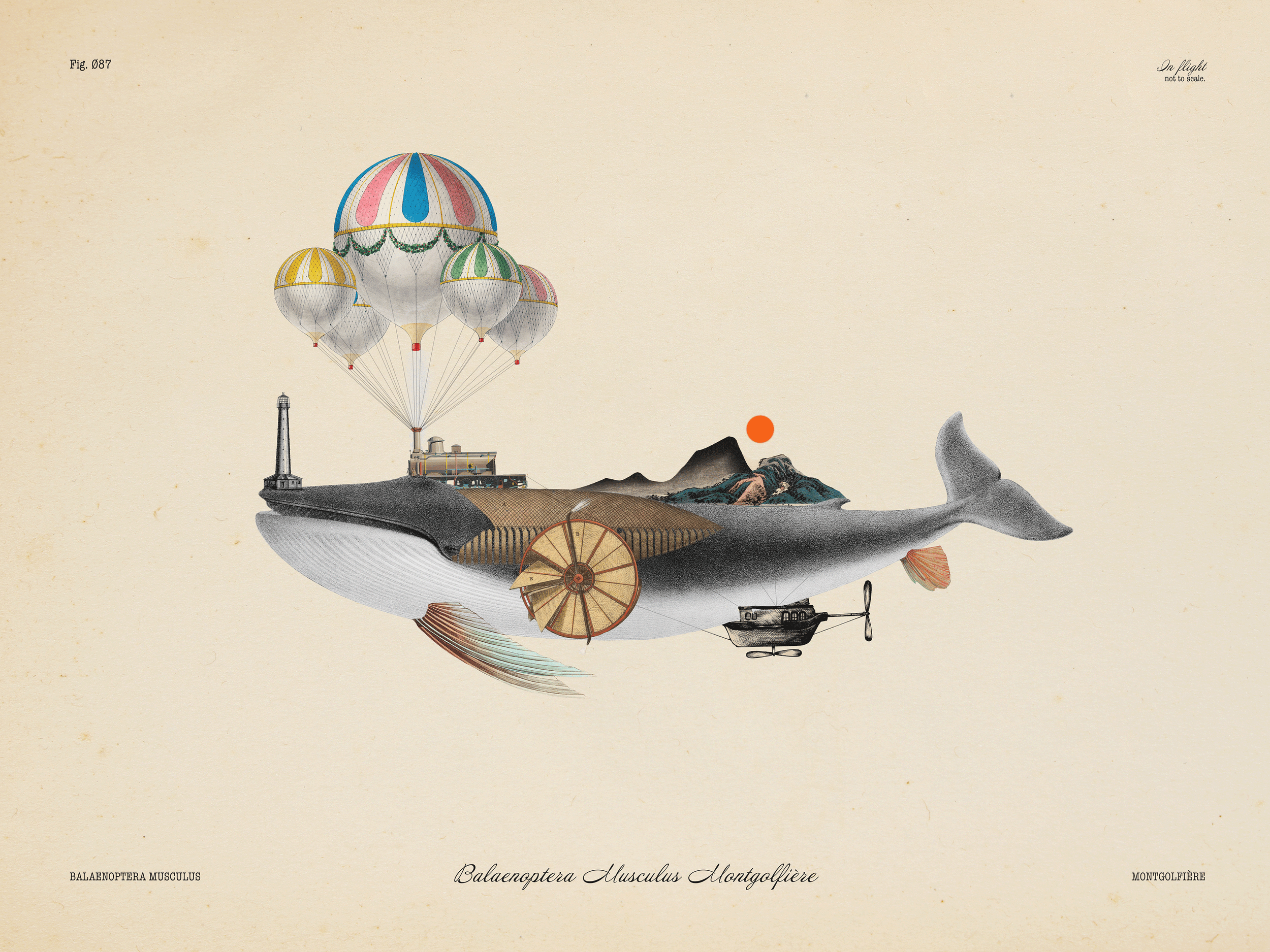Illustration of a whale with a seaside landscape, hot air balloons, lighthouse, and house on its back, with a small boat in front and an orange sun or moon in the sky.