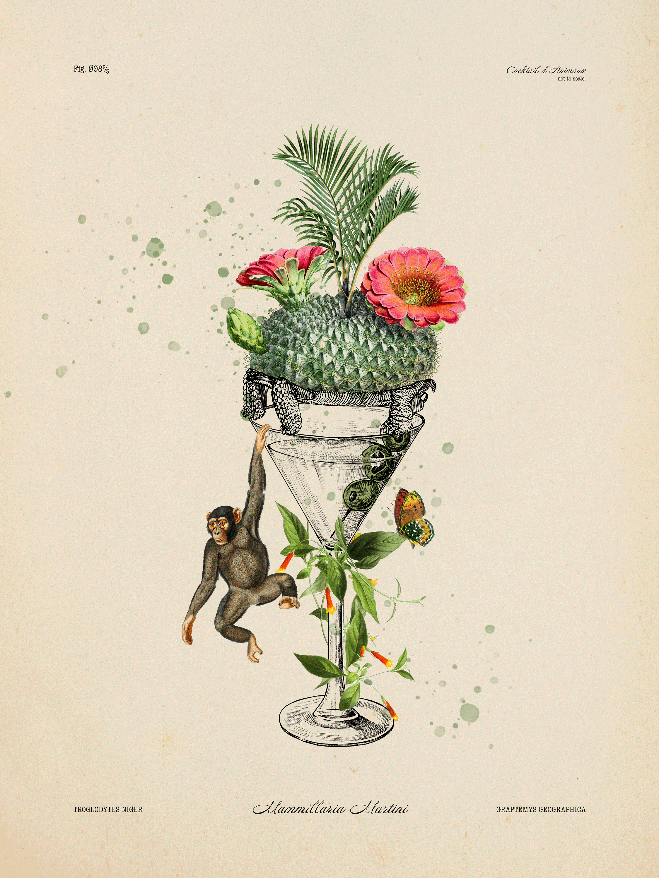 A botanical illustration featuring a cocktail glass with plants and animals, including a cactus with pink flowers, a small monkey hanging from the glass, a butterfly, and tropical leaves.