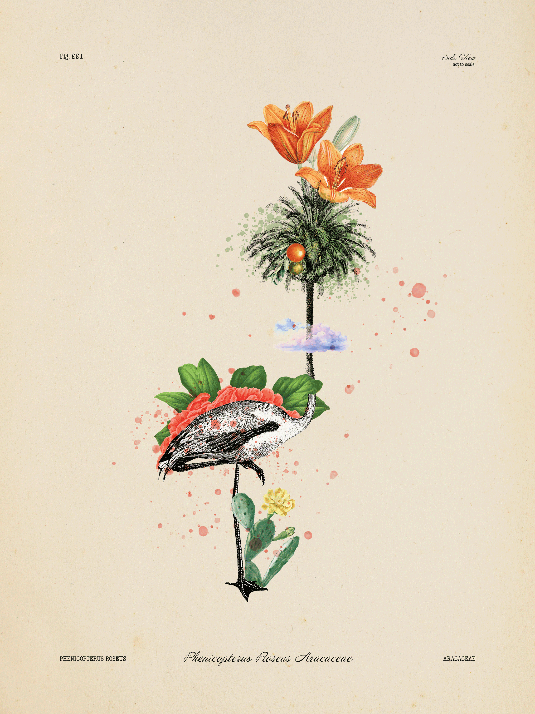 Artistic illustration of a pine cone with orange lilies on top, a bird with a red beak and some flowers below, and digital paint splashes in the background.