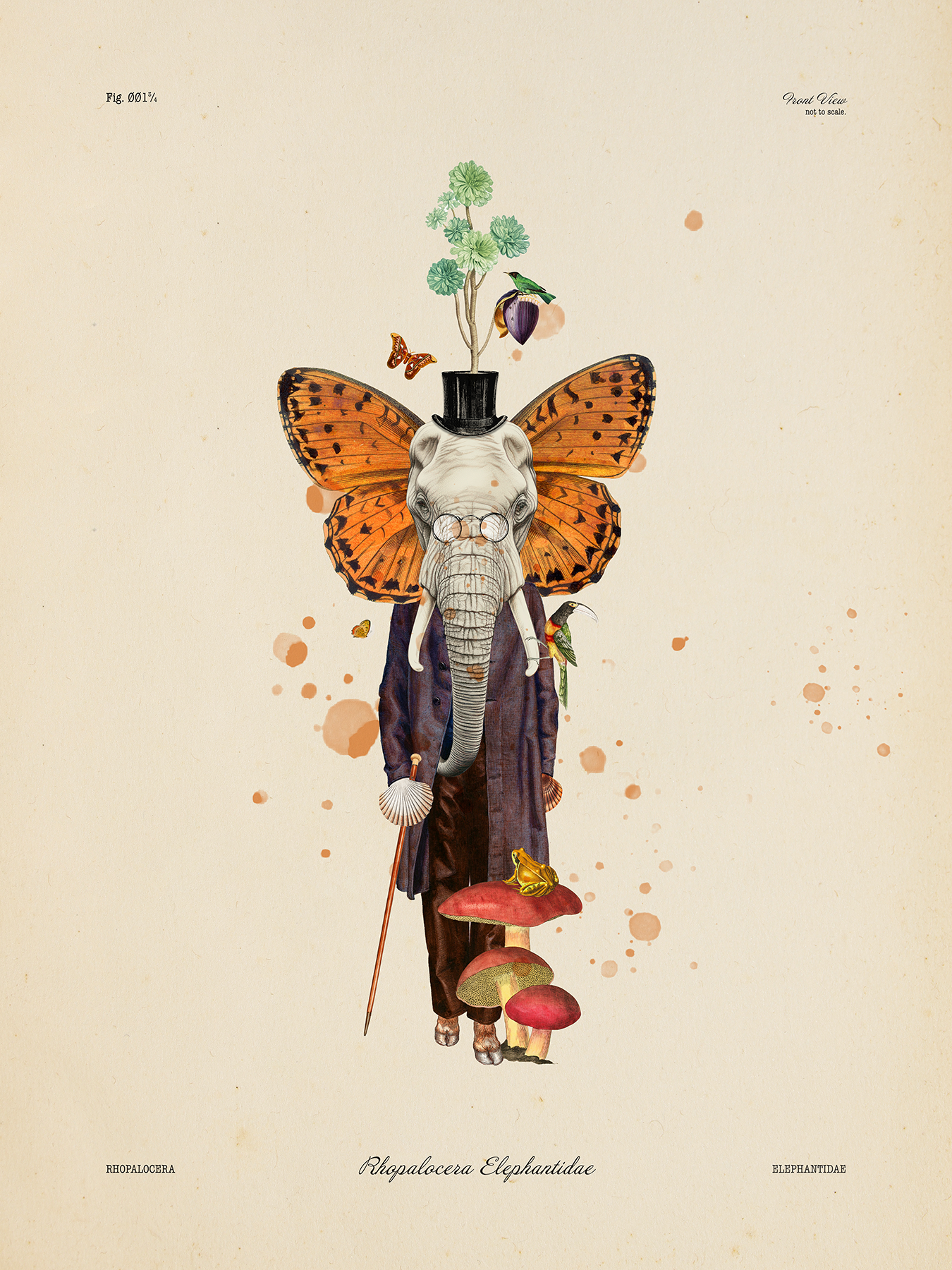 A surreal illustration of an elephant with butterfly wings, wearing a top hat and glasses, surrounded by mushrooms, a hummingbird, a butterfly, a parrot, and a butterfly, with a plant growing from the top hat.