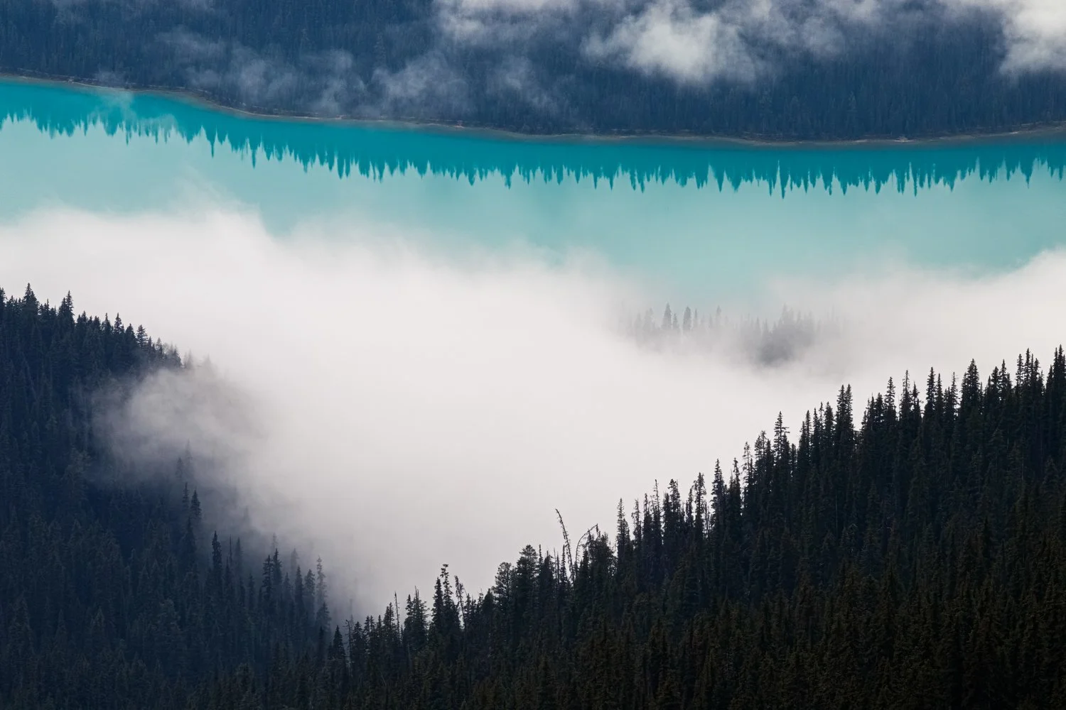 Emerald Lake Mist.JPG