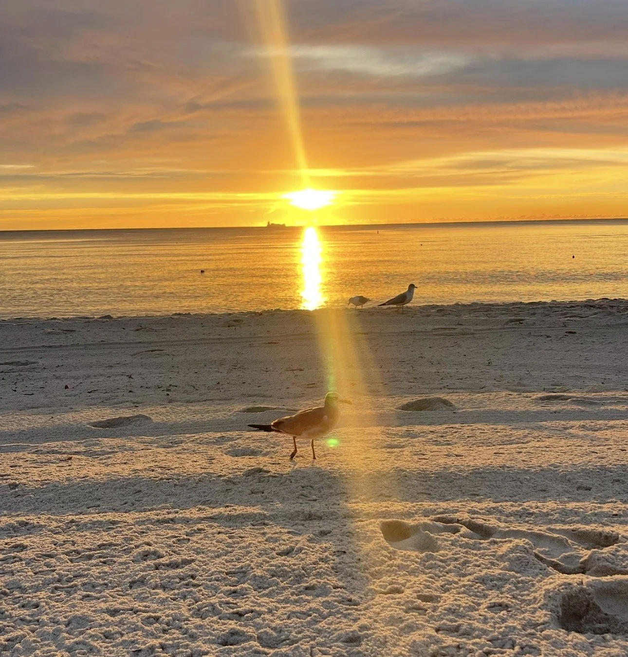 Melbourne Beach sunrise