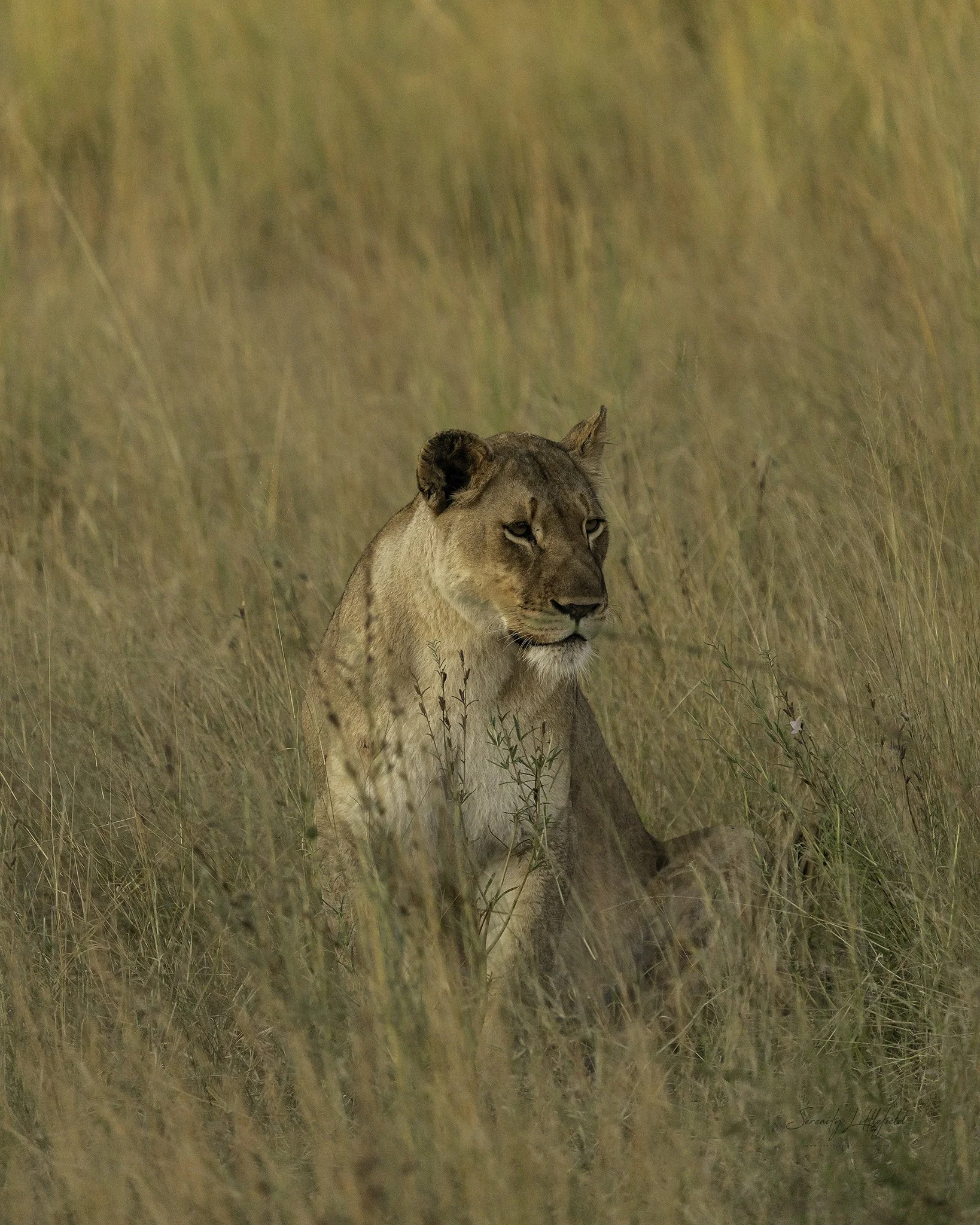 Africa_May_2022_SLL-08991-Edit.jpg