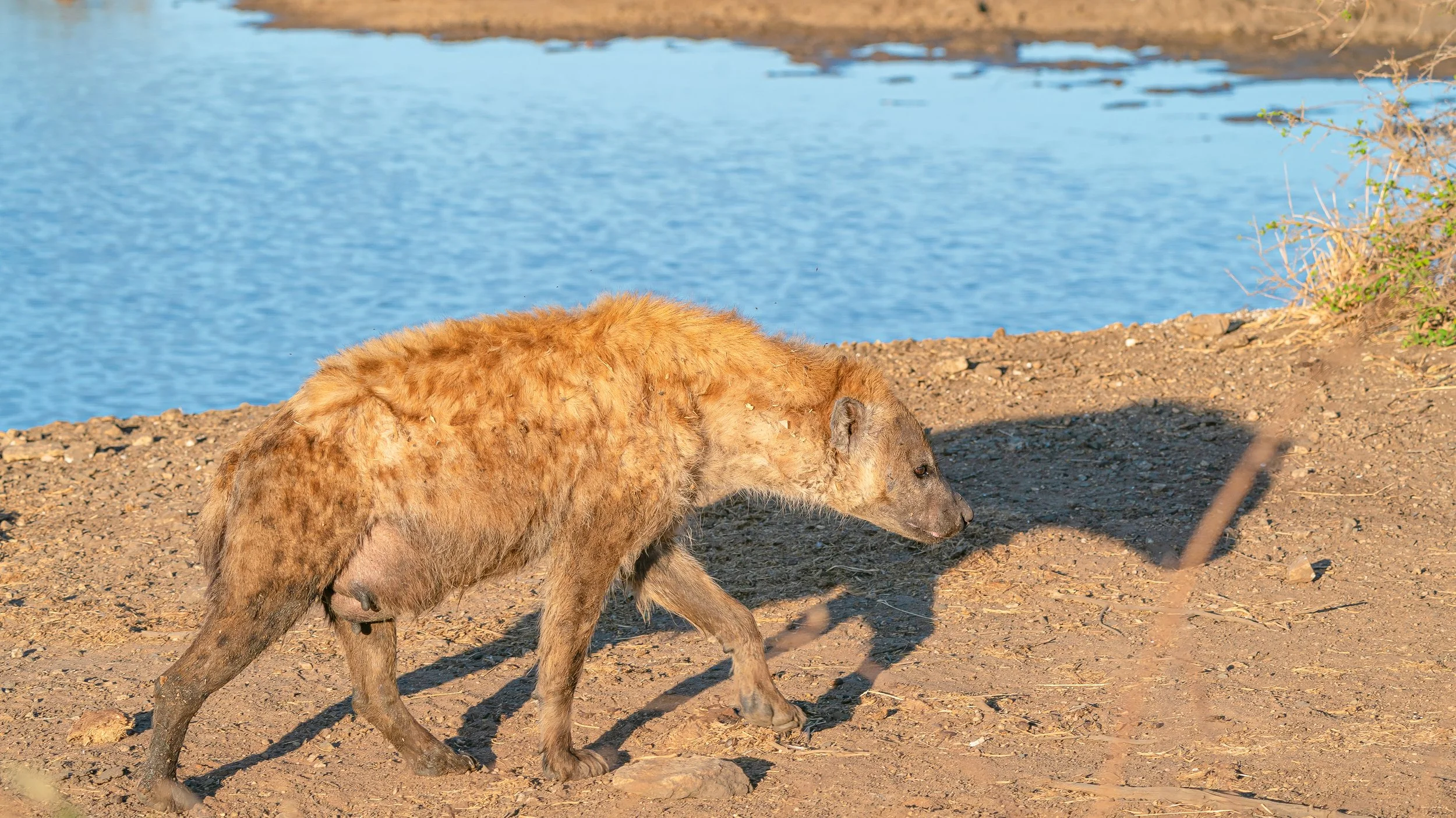 Africa2019_SLL-07369.jpg