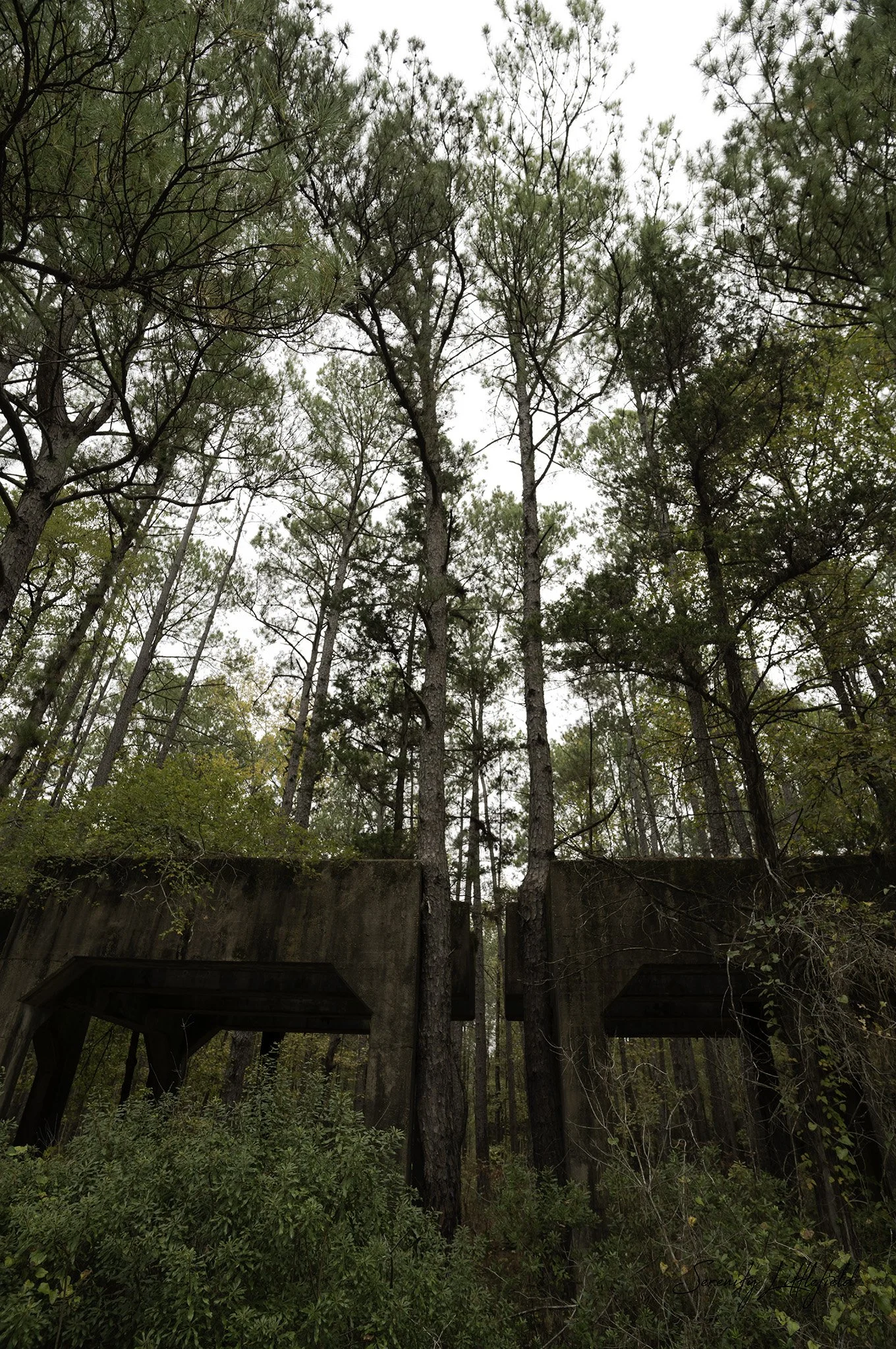 Longhorn_Army_Ammunition_Plant_SLL-06770-Edit.jpg