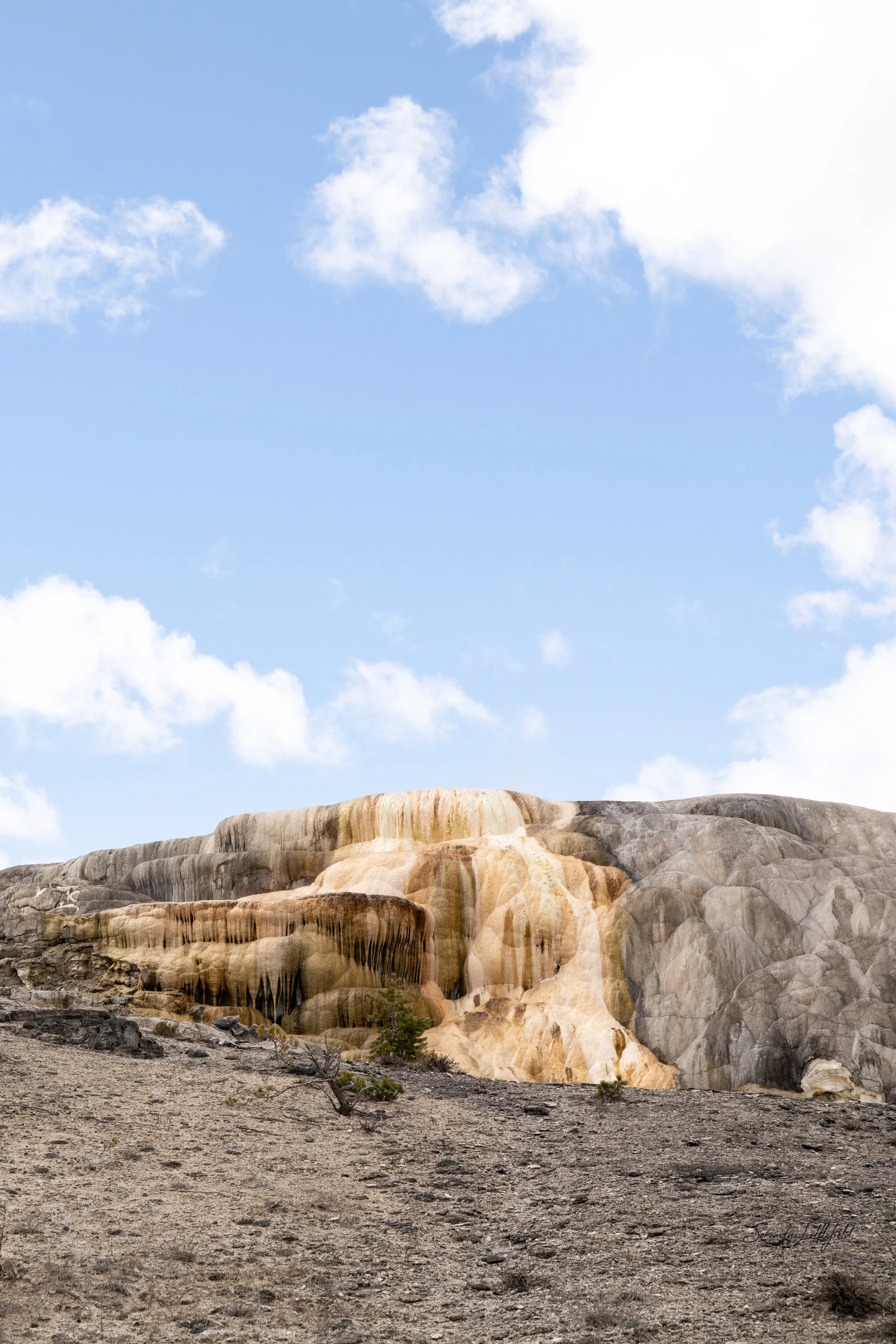 YellowstoneNP_2024_Sony_a7rIV_SLL-08070-Edit.jpg