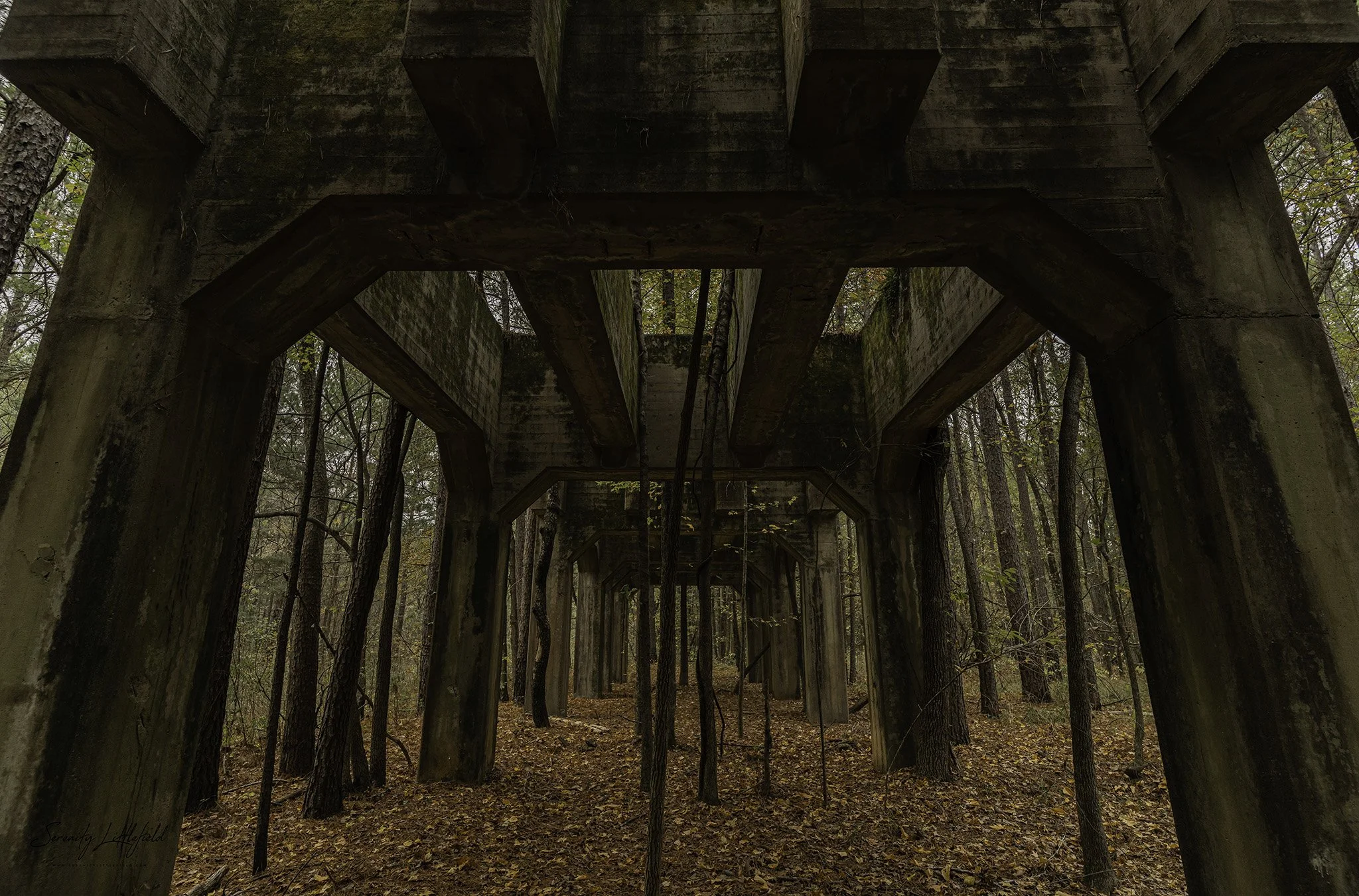 Longhorn_Army_Ammunition_Plant_SLL-06747-Edit.jpg