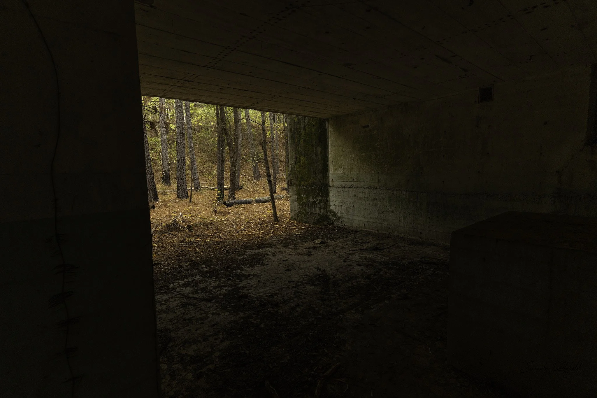 Longhorn_Army_Ammunition_Plant_SLL-06901-Edit.jpg