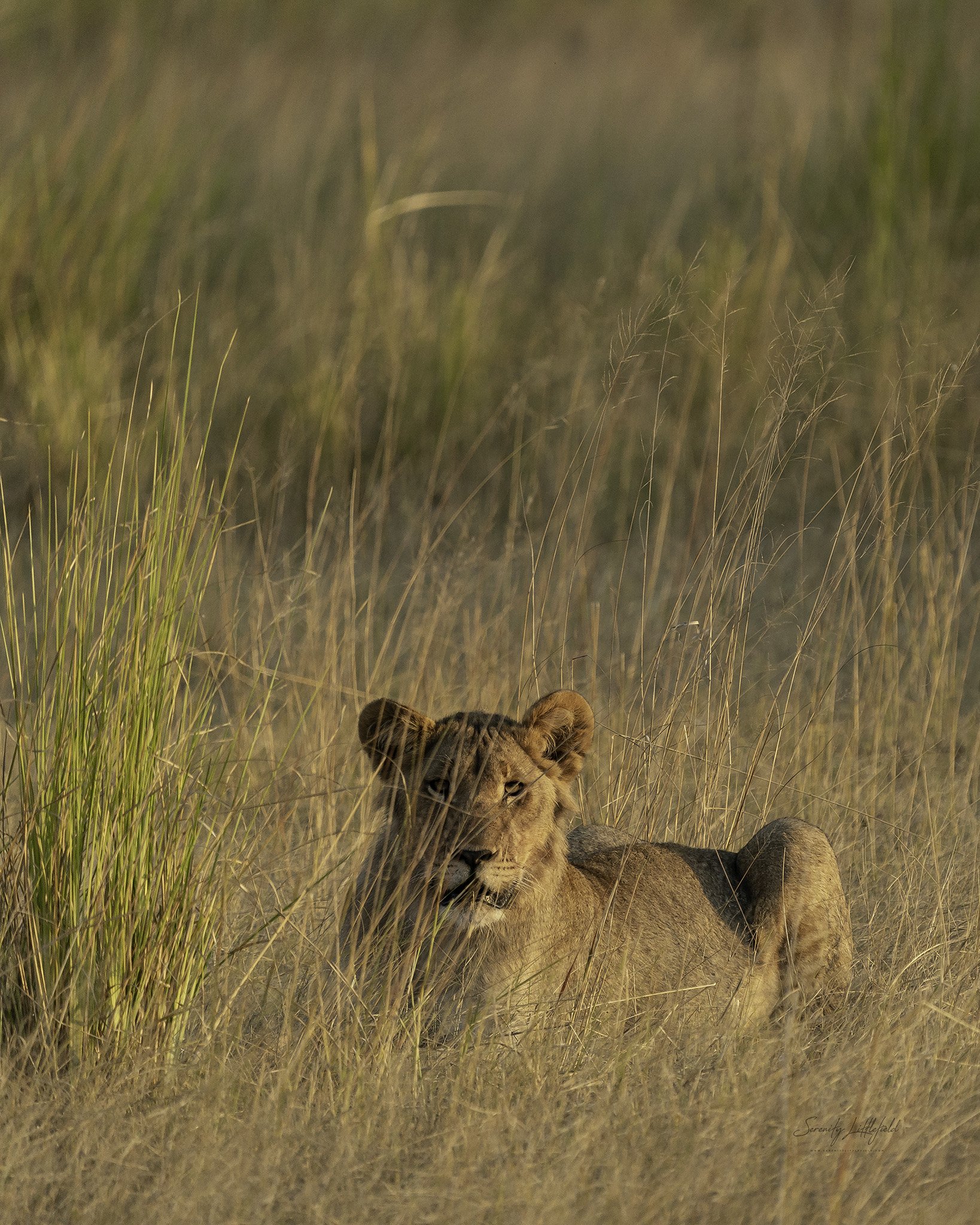 Africa_May_2022_SLL-08619-Edit.jpg