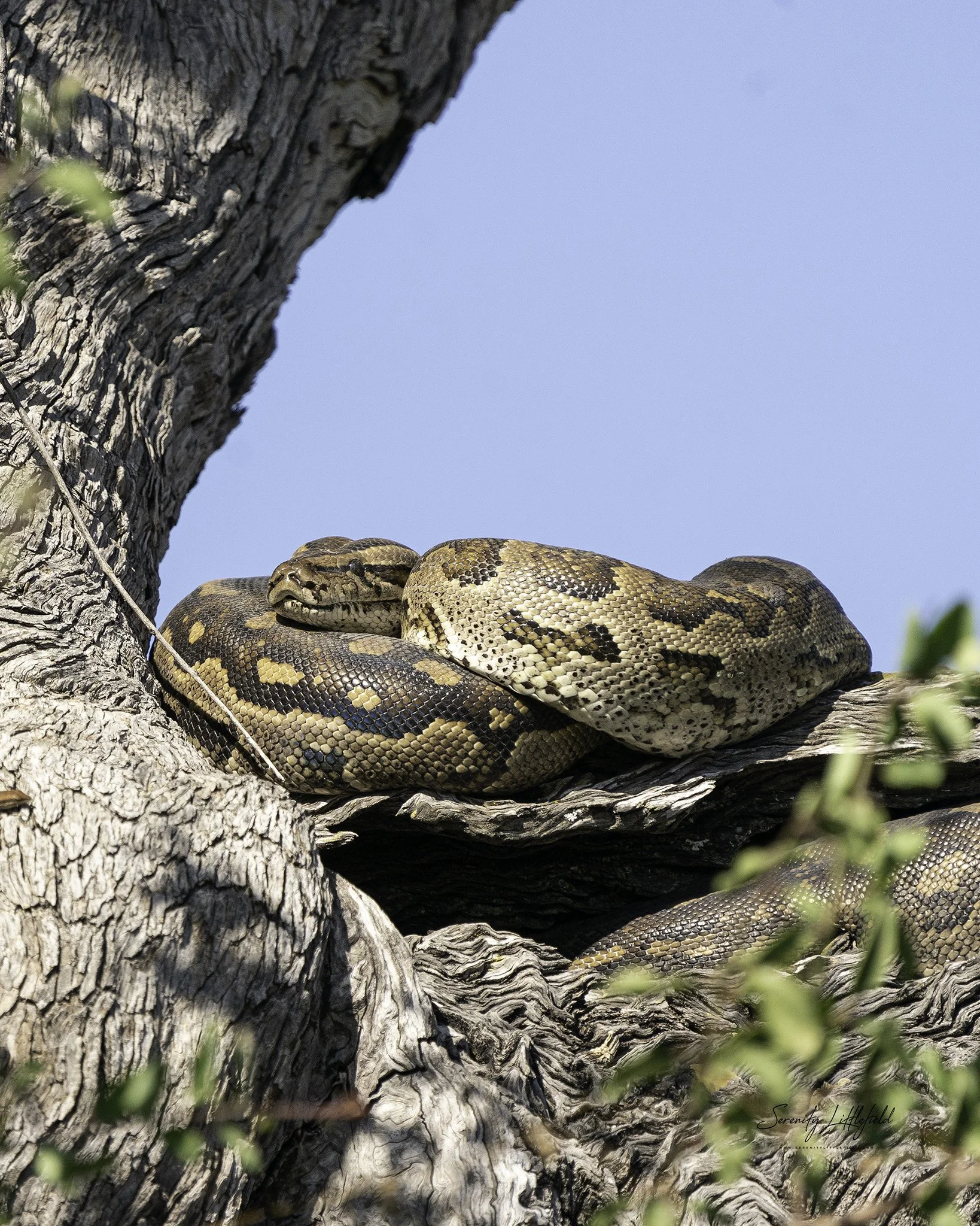 Africa_May_2022_SLL-08295-Edit.jpg