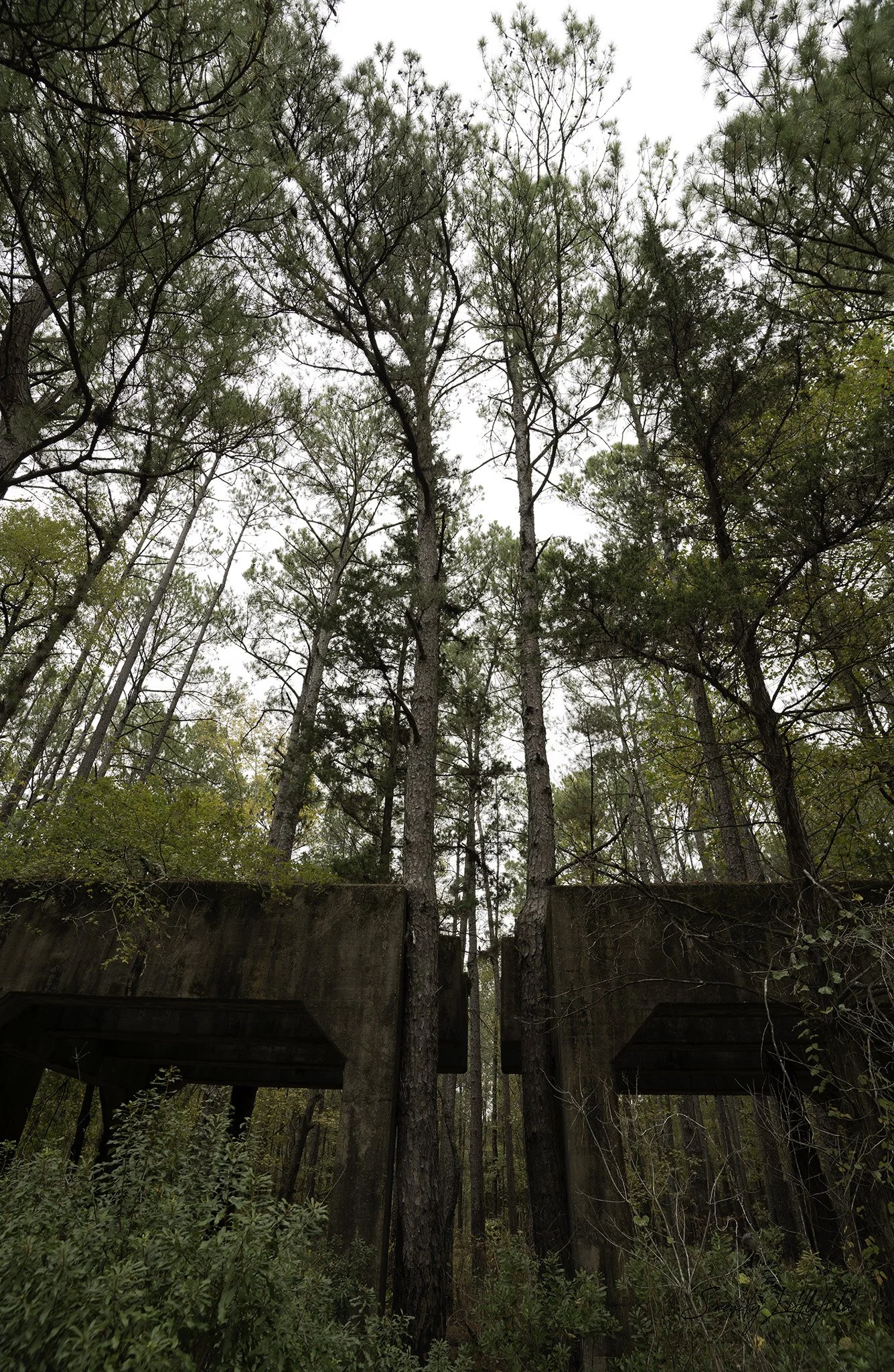Longhorn_Army_Ammunition_Plant_SLL-06771-Edit.jpg