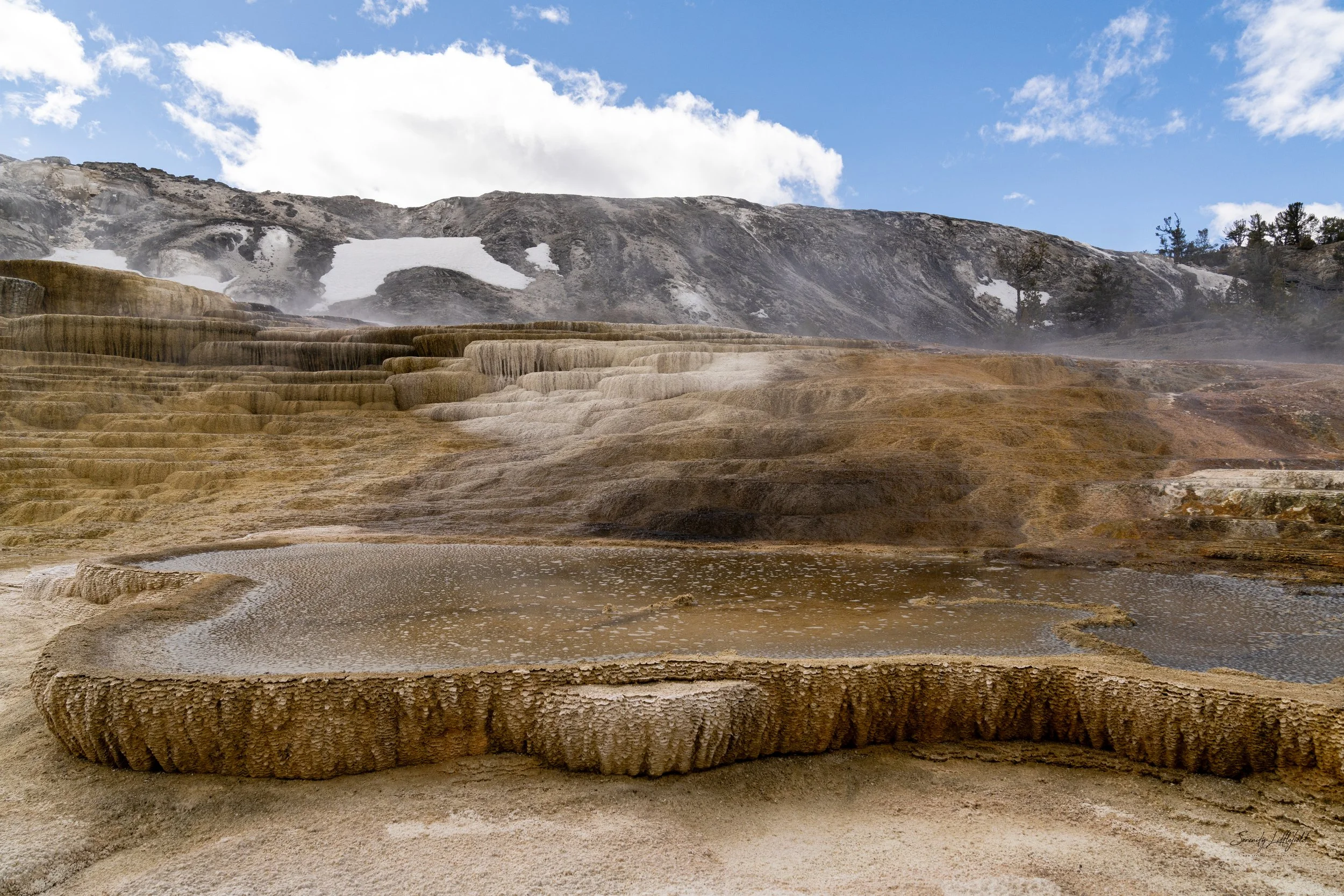 YellowstoneNP_2024_Sony_a7rIV_SLL-08047-Edit.jpg