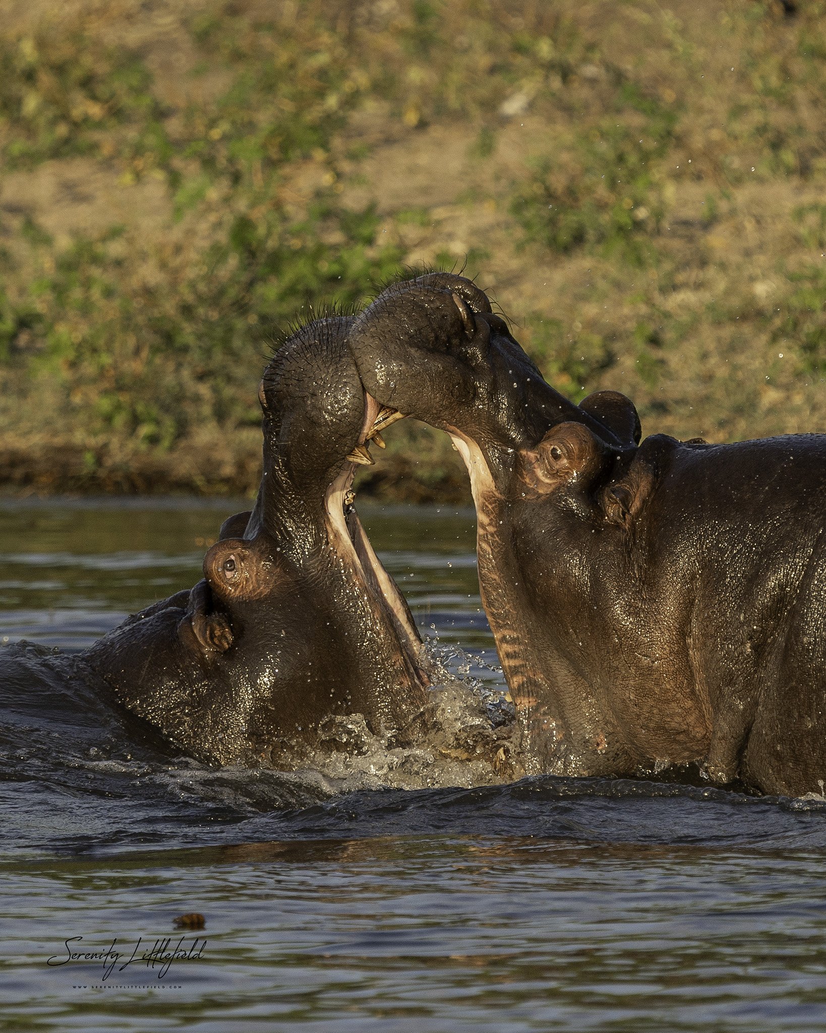 Africa_May_2022_SLL-07613-Edit.jpg