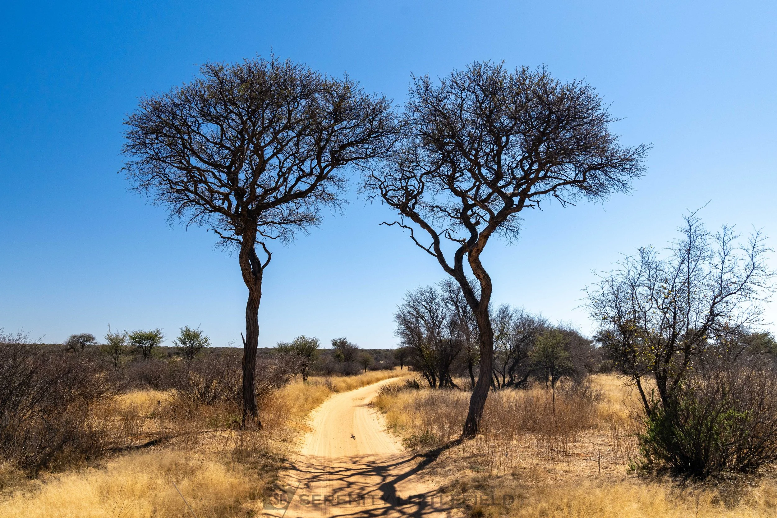 Africa_2025_Serapa_SLL-01224.jpg