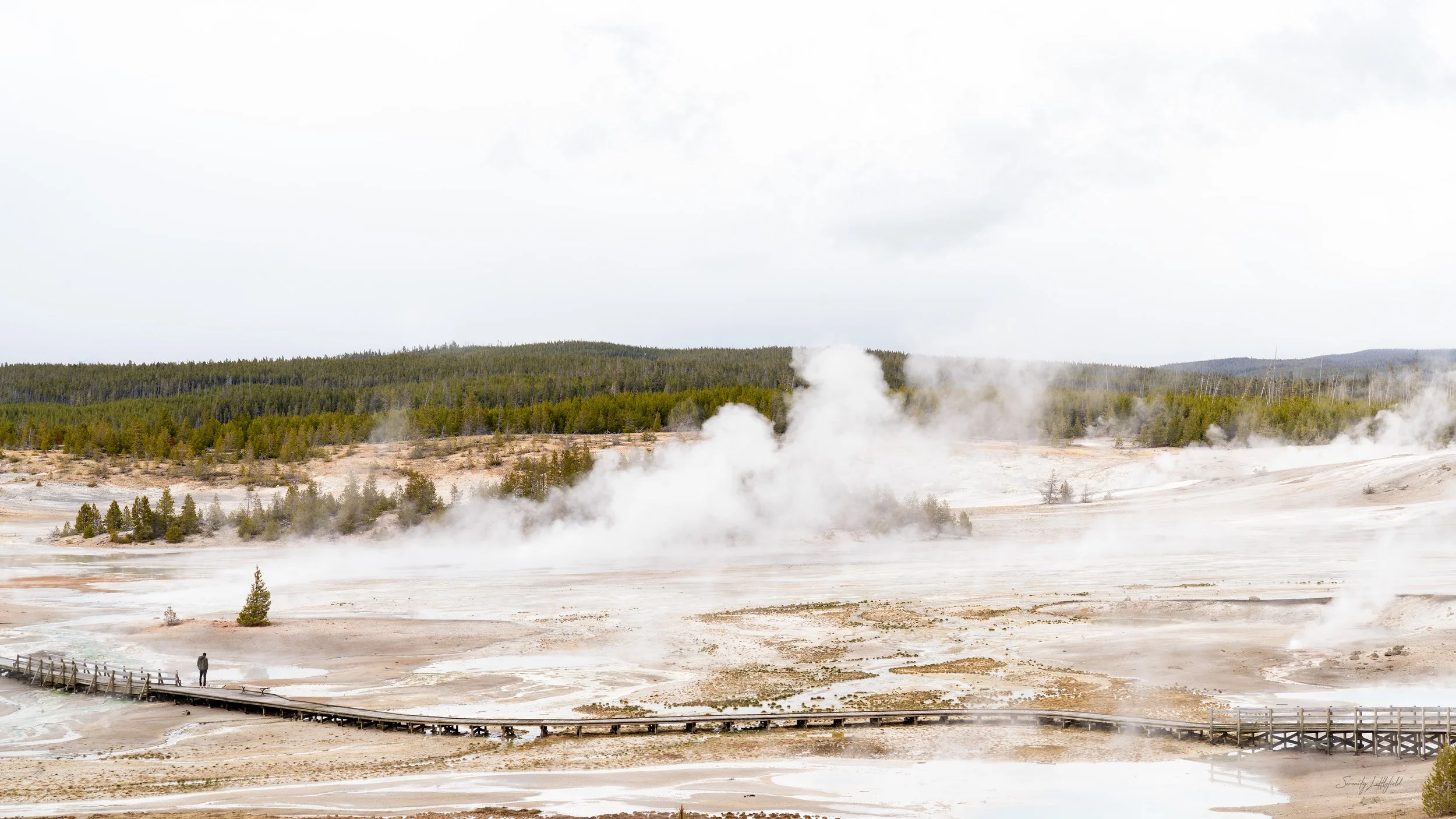 YellowstoneNP_2024_Sony_a7rIV_SLL-08003-Edit.jpg