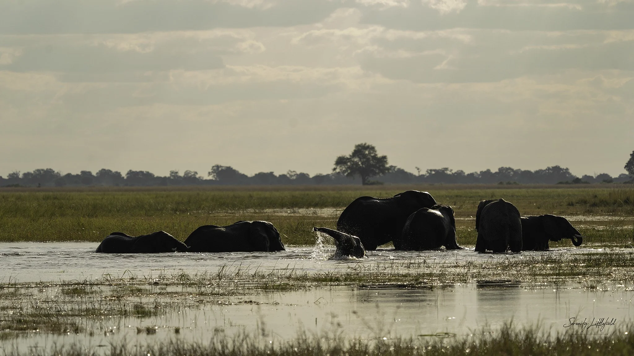 Africa_May_2022_SLL-09452-Edit.jpg