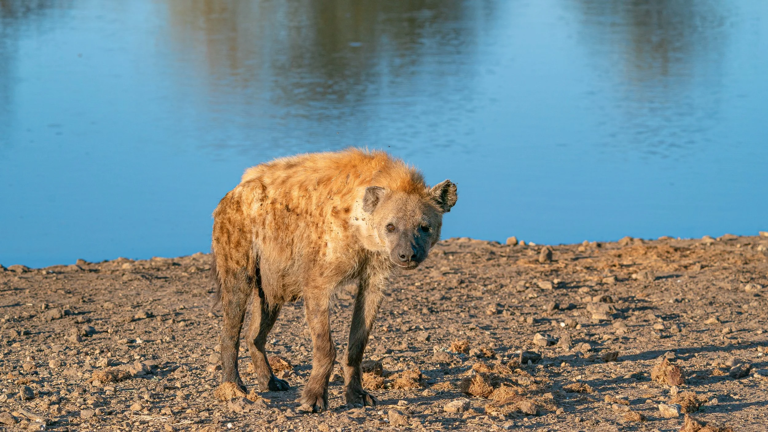 Africa2019_SLL-07328.jpg