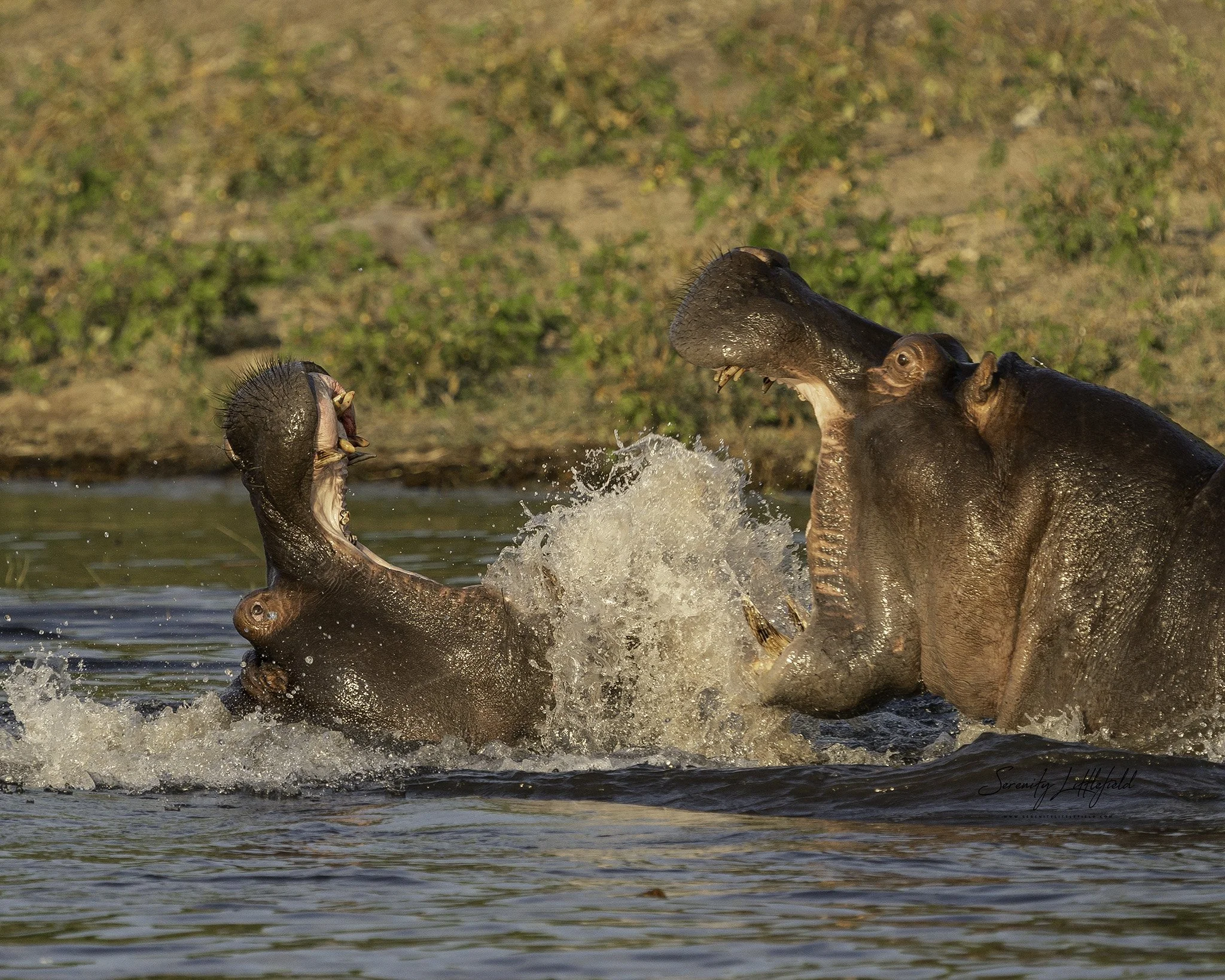 Africa_May_2022_SLL-07629-Edit.jpg