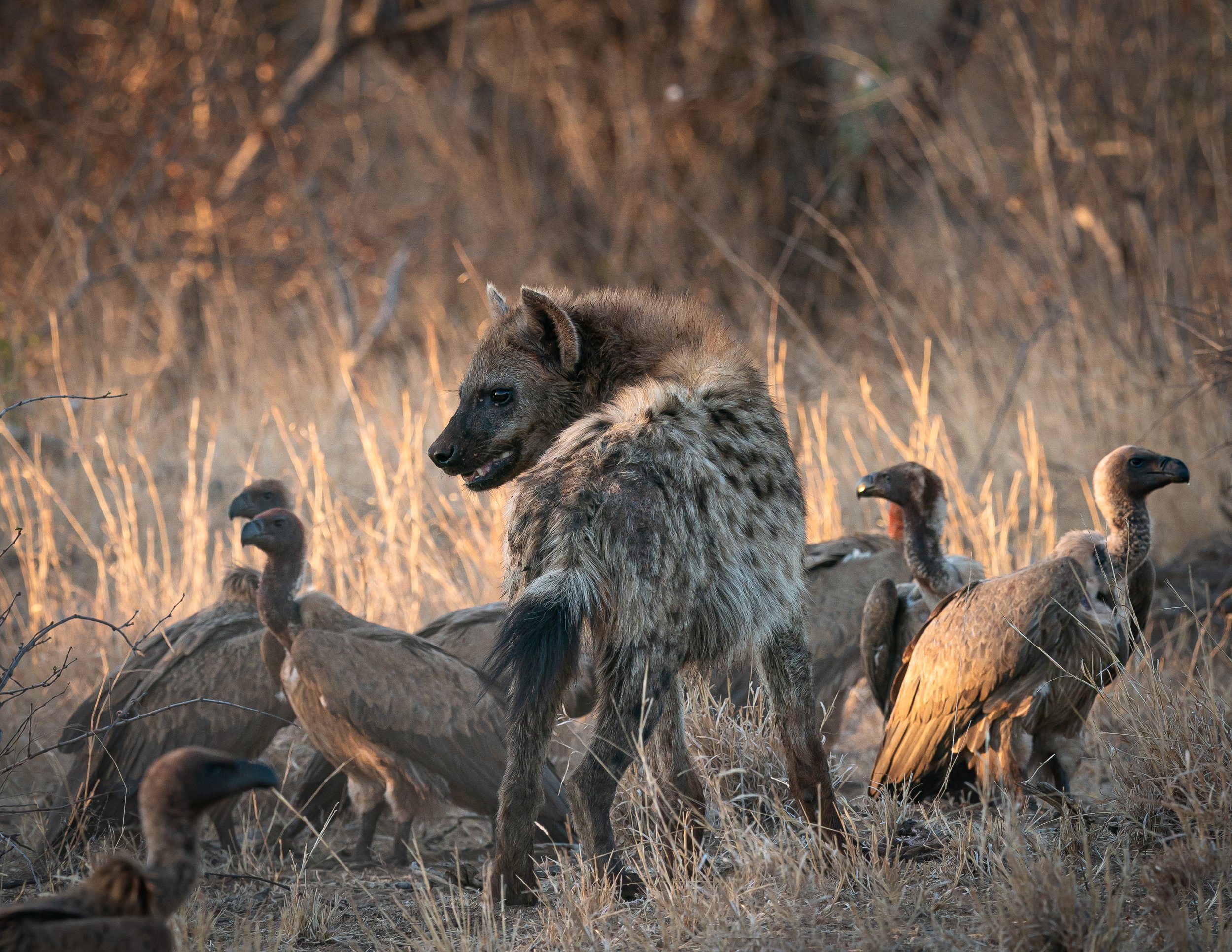 Africa2019_SLL-08913.jpg