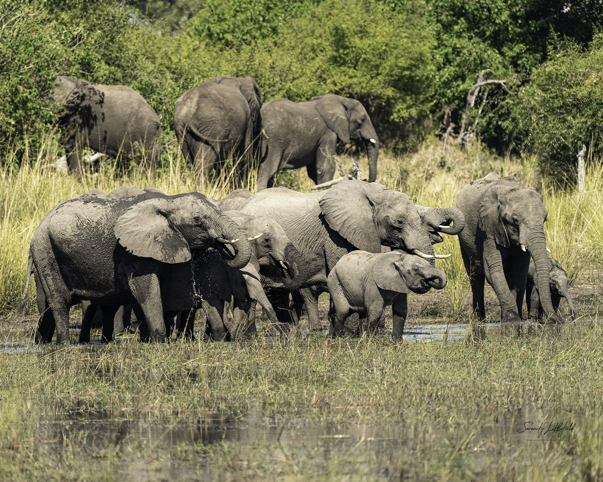 Africa_May_26_2022_SLL-01093-Edit.jpg