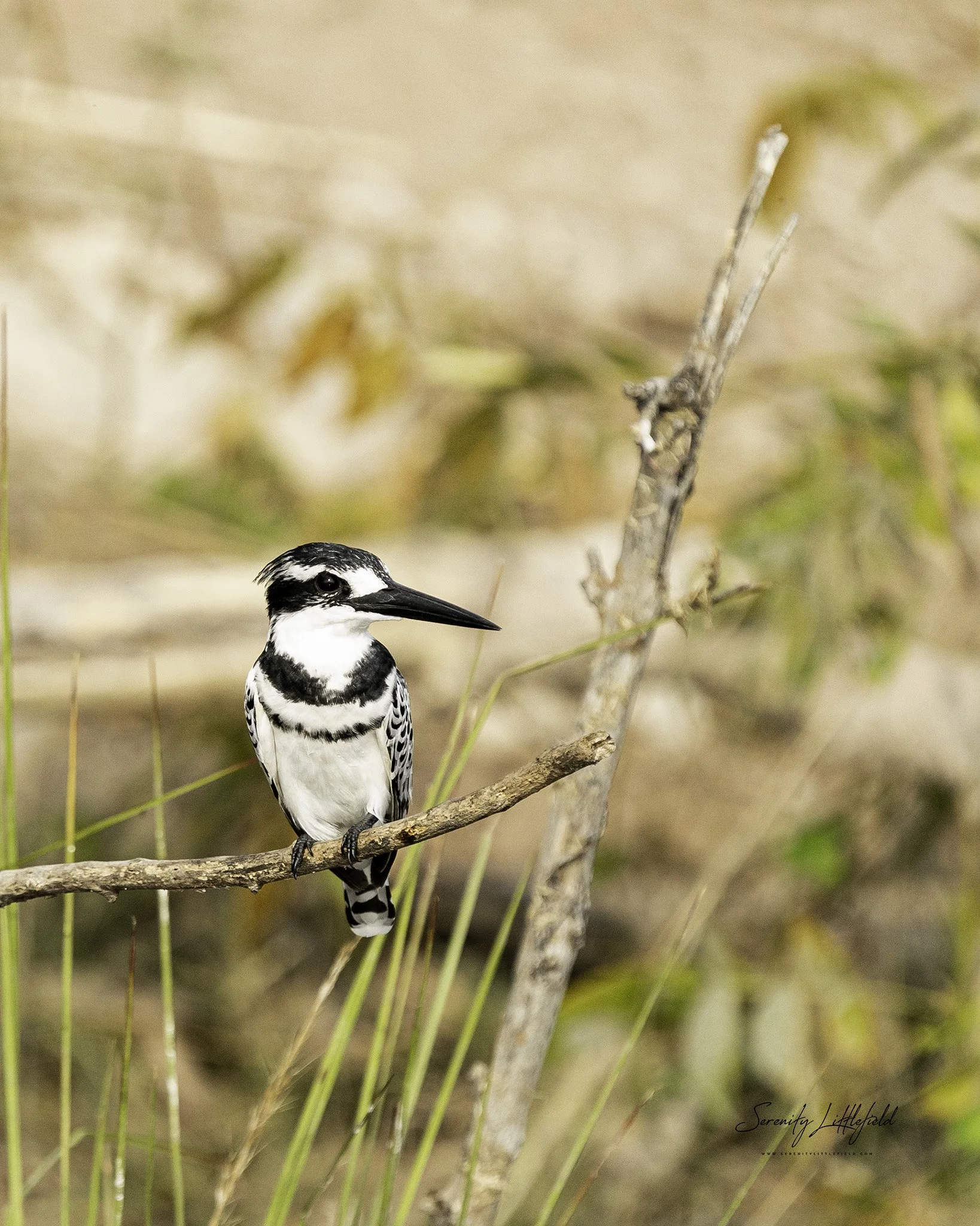 Africa_May_2022_SLL-06277-Edit.jpg