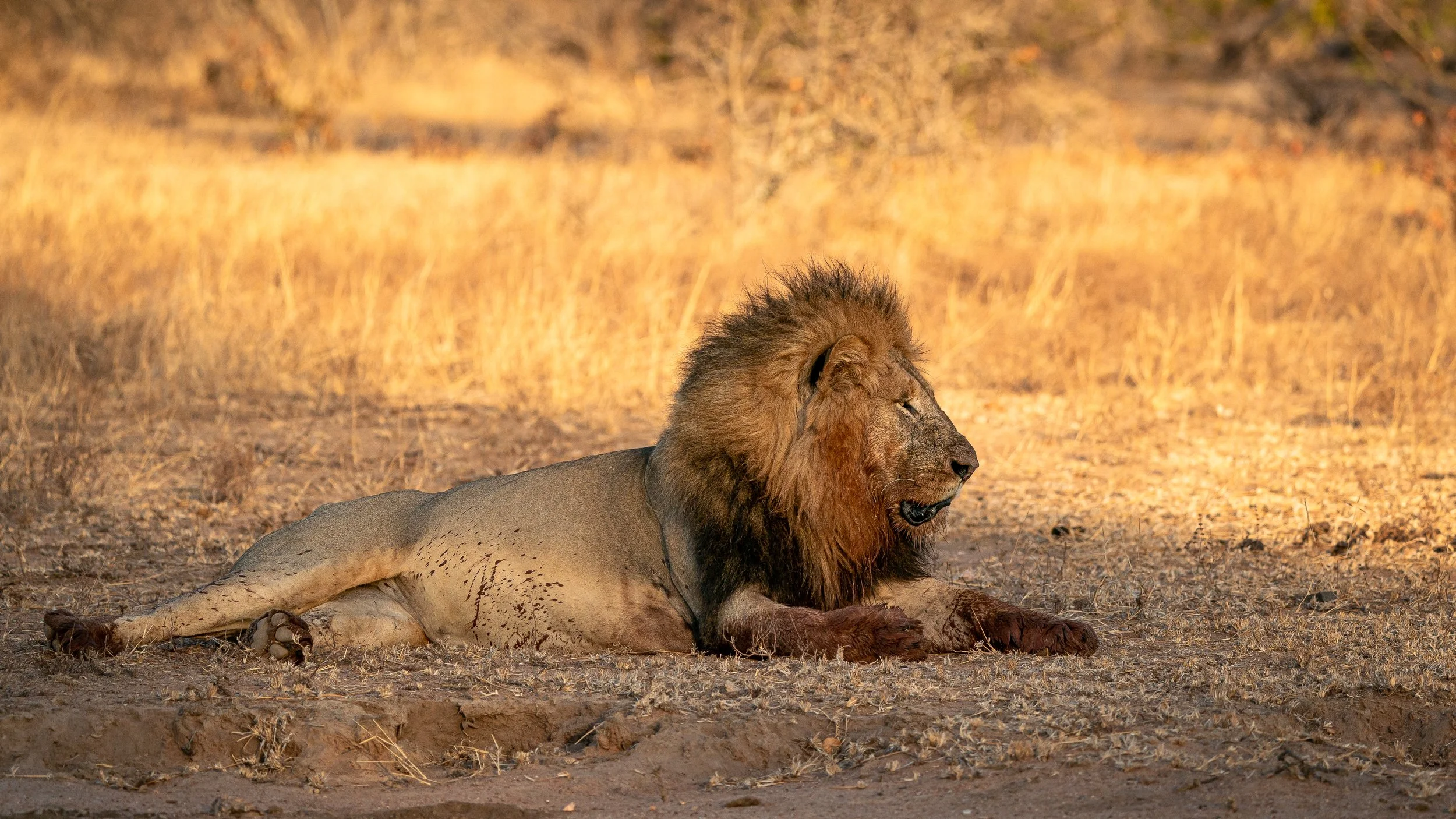 Africa2019_SLL-08143.jpg