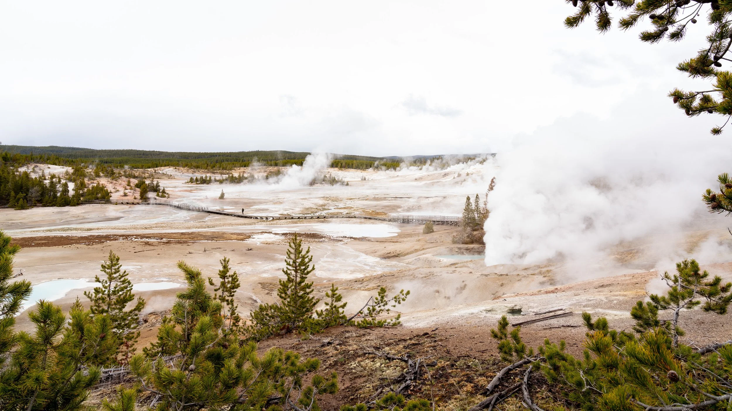 YellowstoneNP_2024_Sony_a7rIV_SLL-08001-Edit.jpg