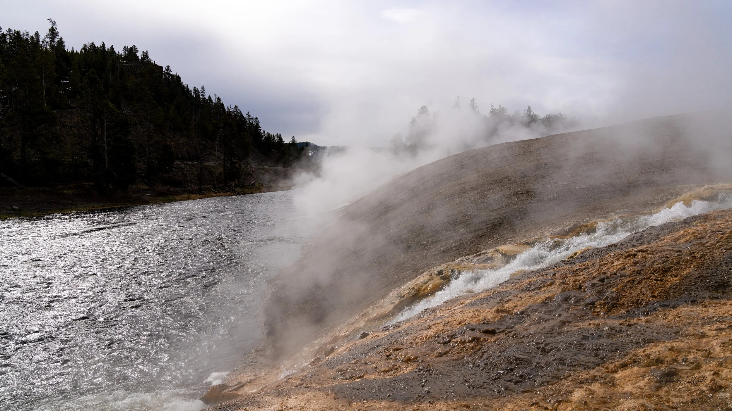 YellowstoneNP_2024_Sony_a7rIV_SLL-07911-Edit.jpg