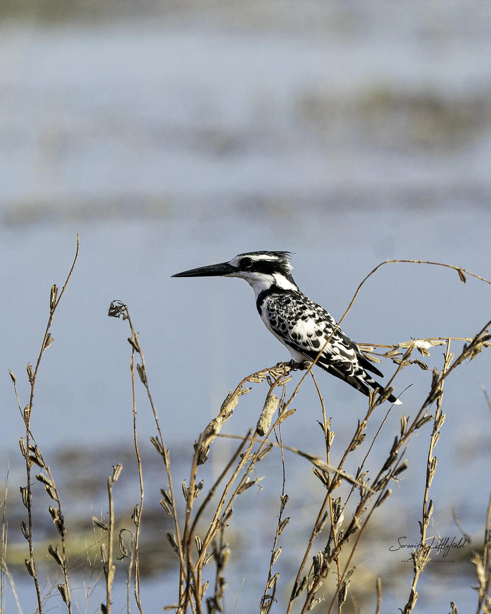 Africa_May_2022_SLL-09615-Edit.jpg