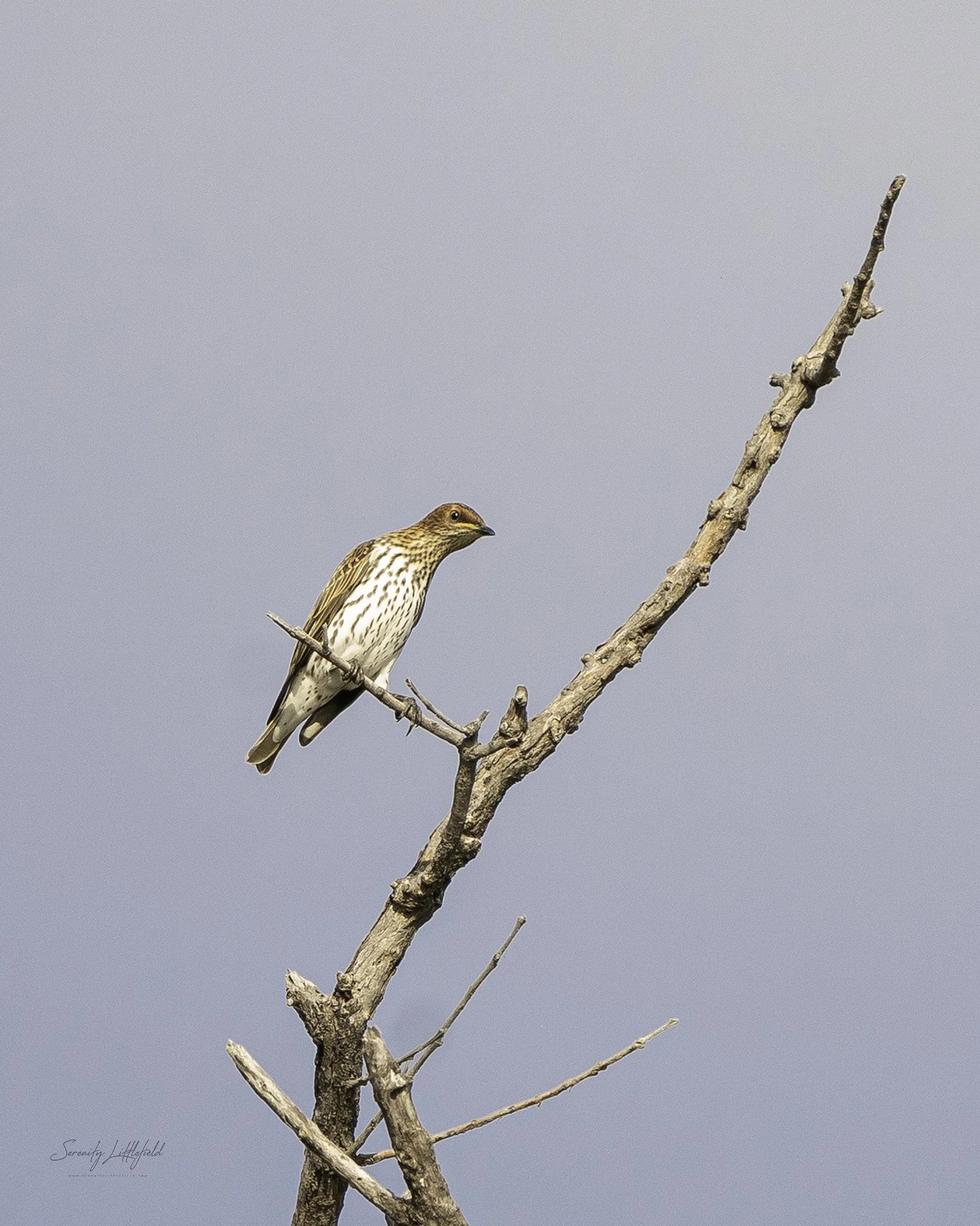 Africa_May_2022_SLL-09666-Edit.jpg
