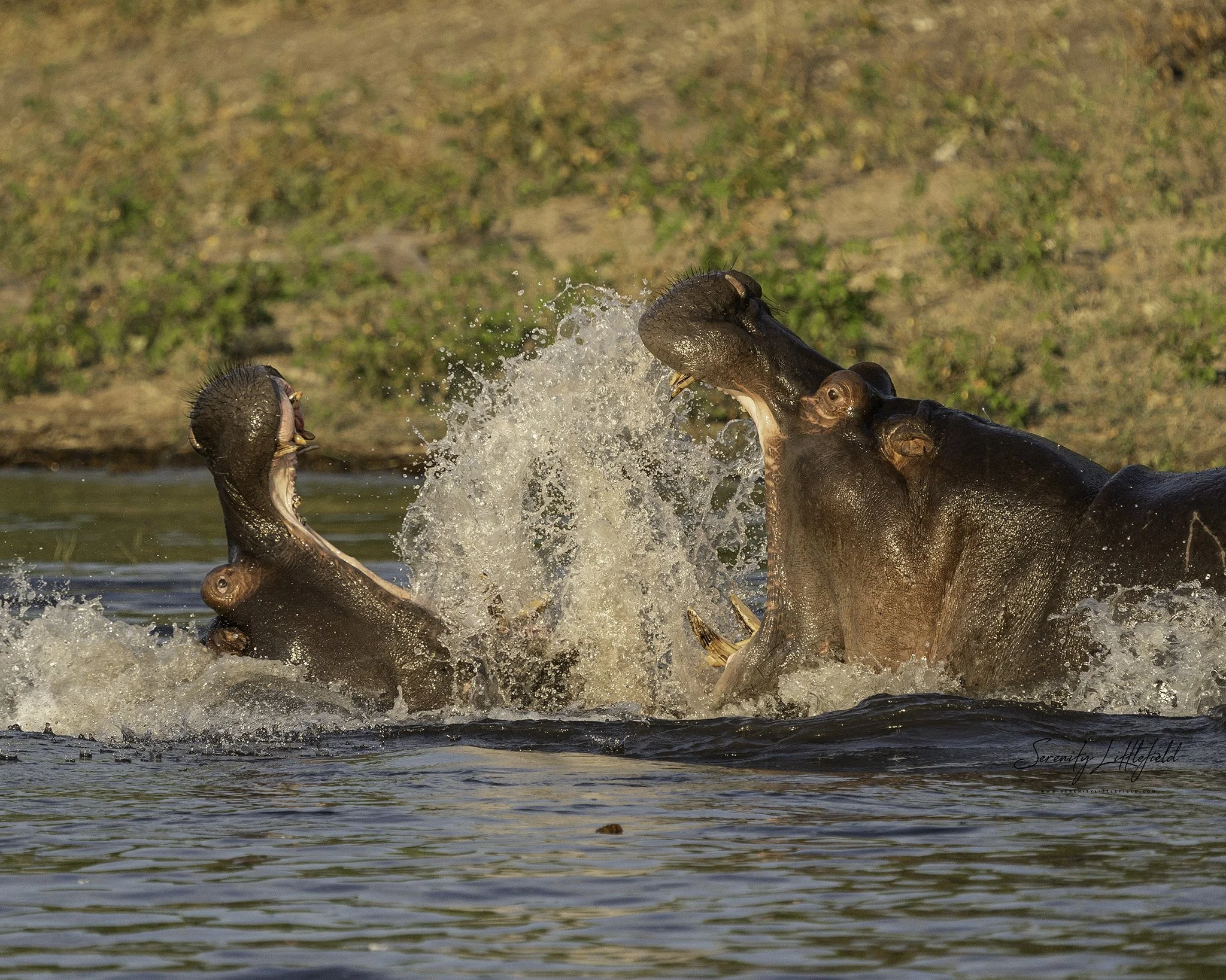Africa_May_2022_SLL-07630-Edit.jpg