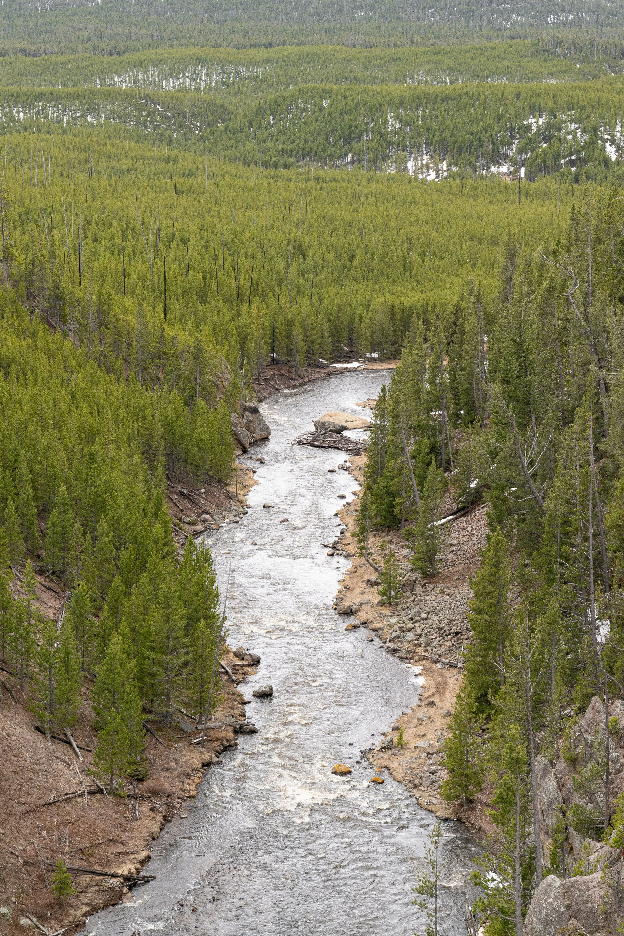 YellowstoneNP_2024_Sony_a7rIV_SLL-07989-Edit.jpg