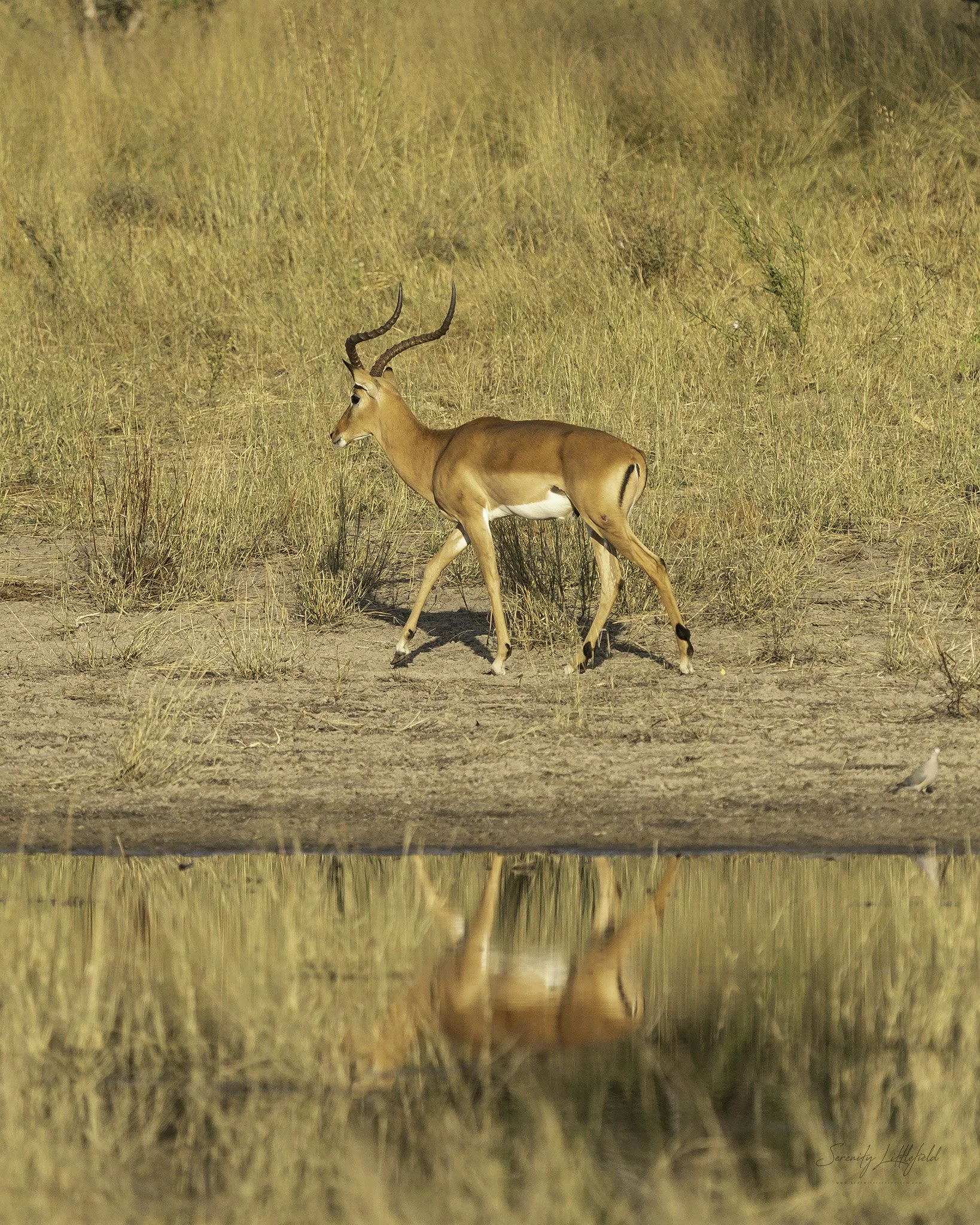 Africa_May_2022_SLL-09694-Edit.jpg