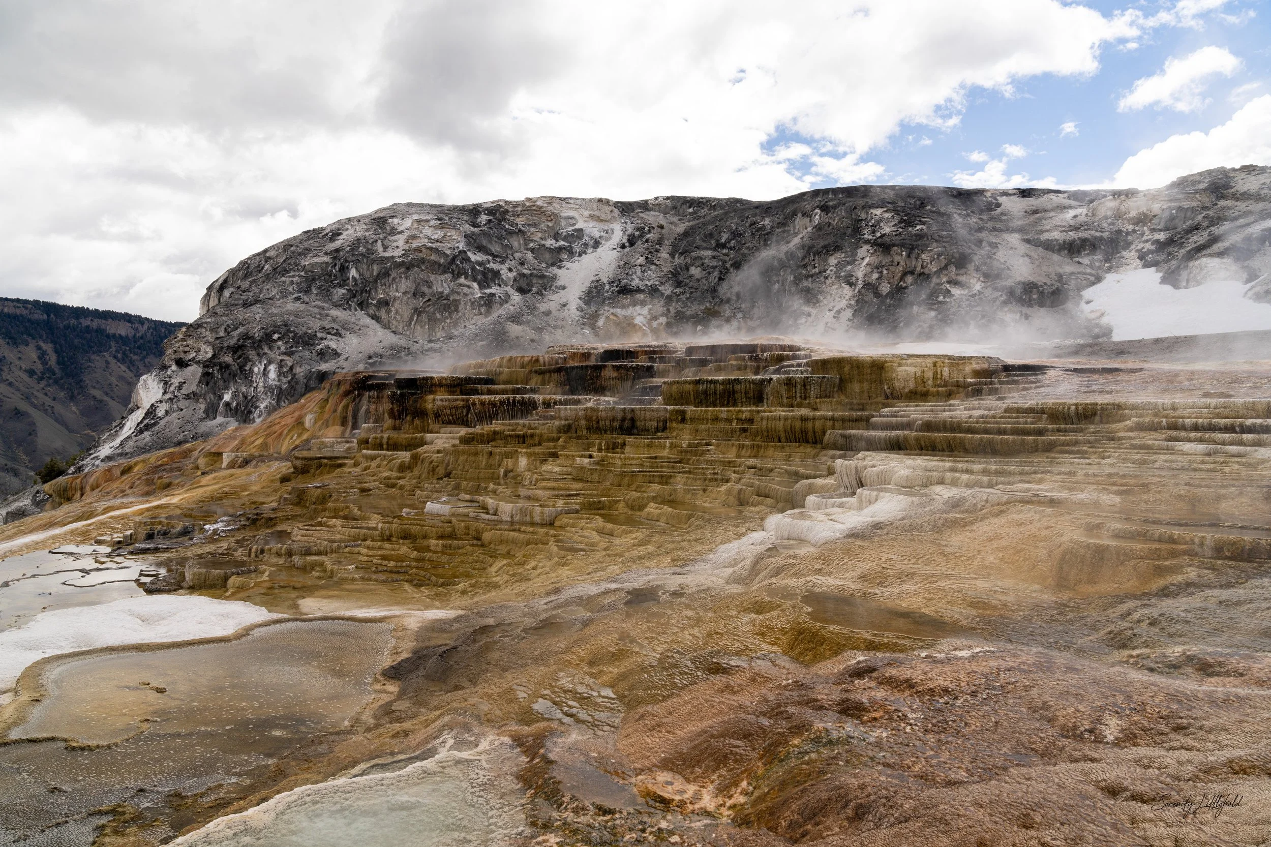 YellowstoneNP_2024_Sony_a7rIV_SLL-08056-Edit.jpg