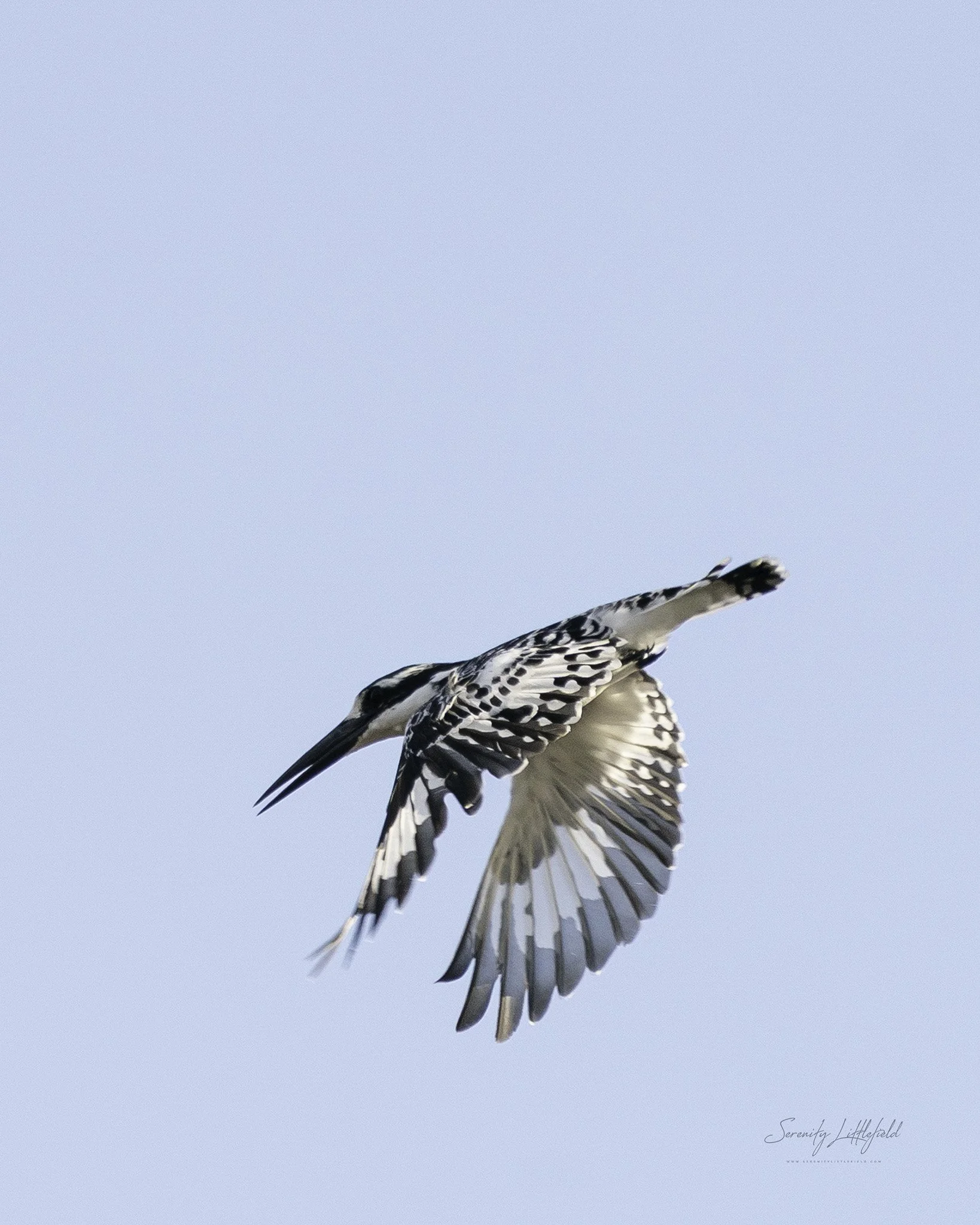 Africa_May_2022_SLL-09413-Edit.jpg