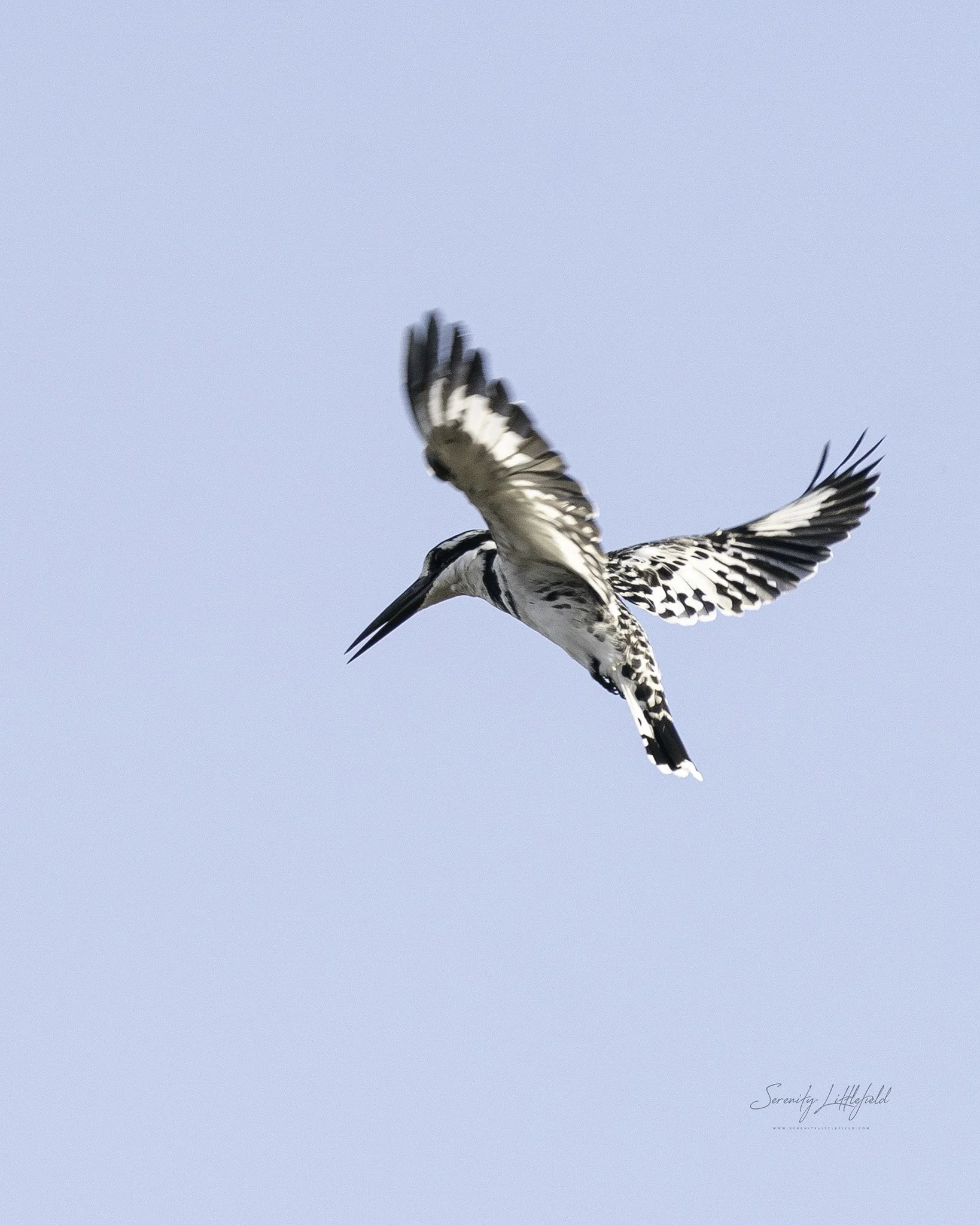Africa_May_2022_SLL-09409-Edit.jpg