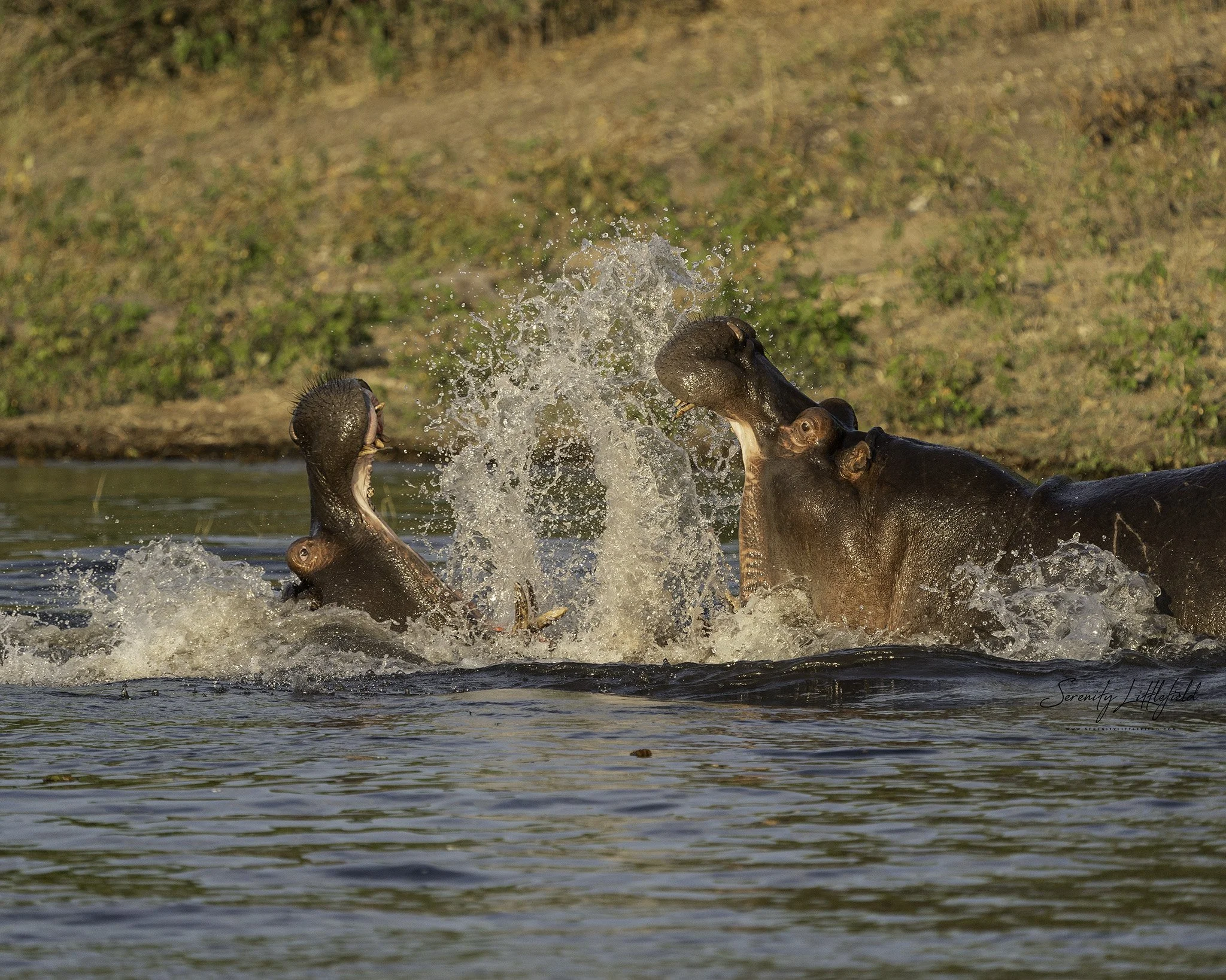 Africa_May_2022_SLL-07631-Edit.jpg
