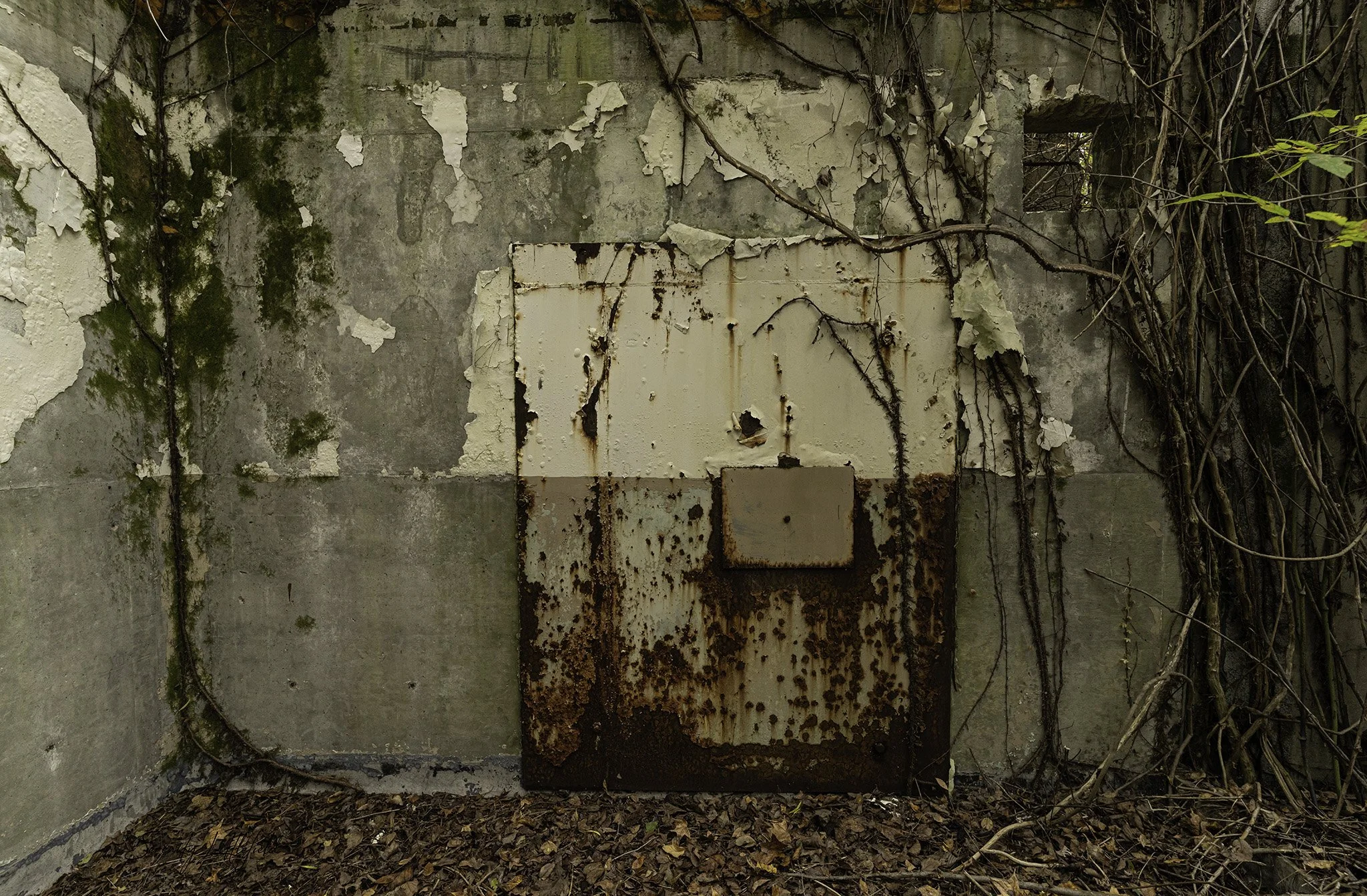 Longhorn_Army_Ammunition_Plant_SLL-06899-Edit.jpg
