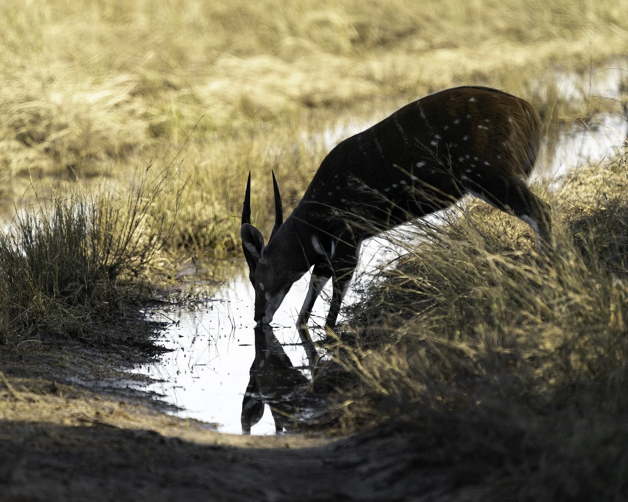 Africa_May_2022_SLL-00654-Edit.jpg