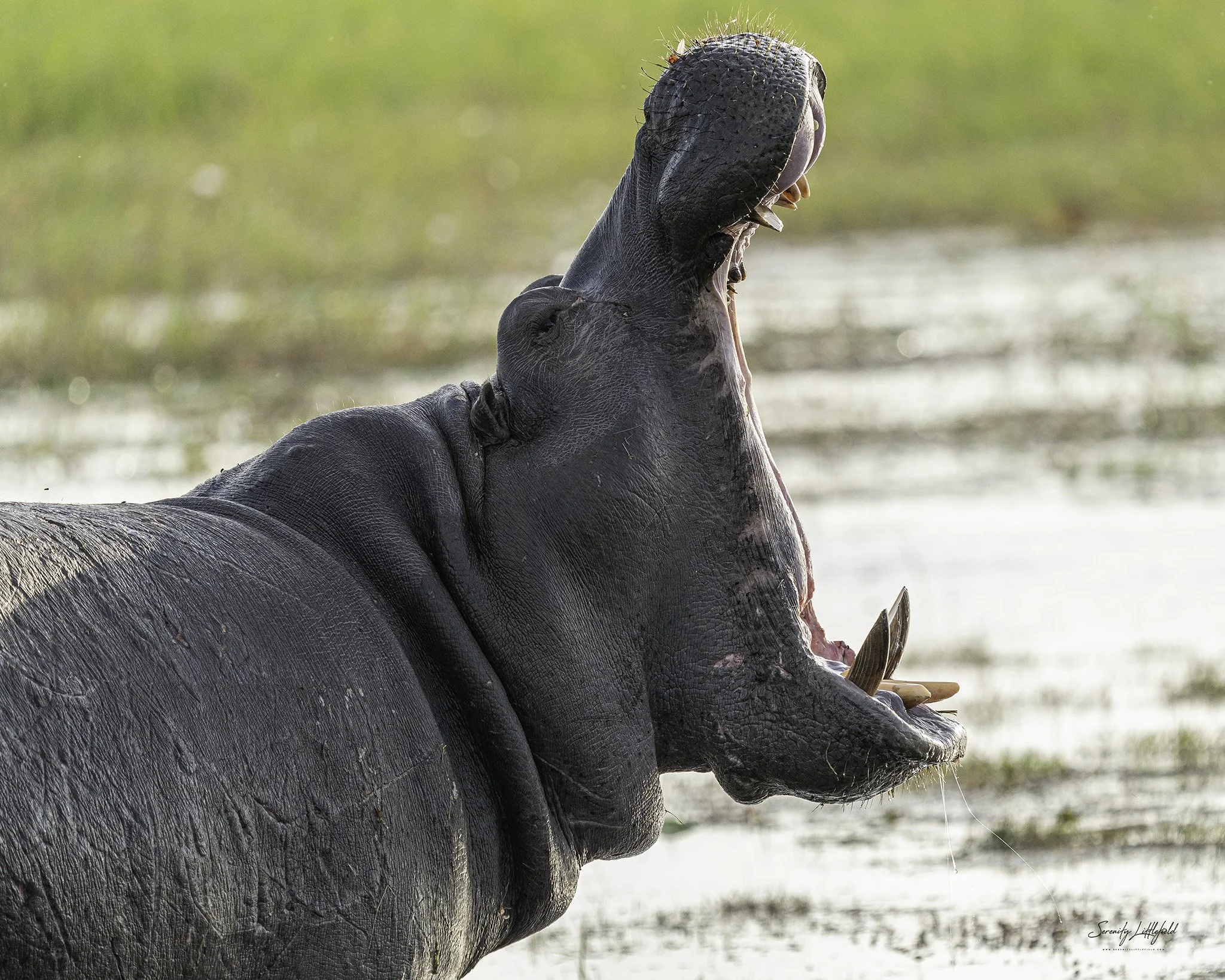 Africa_May_2022_SLL-09650-Edit.jpg