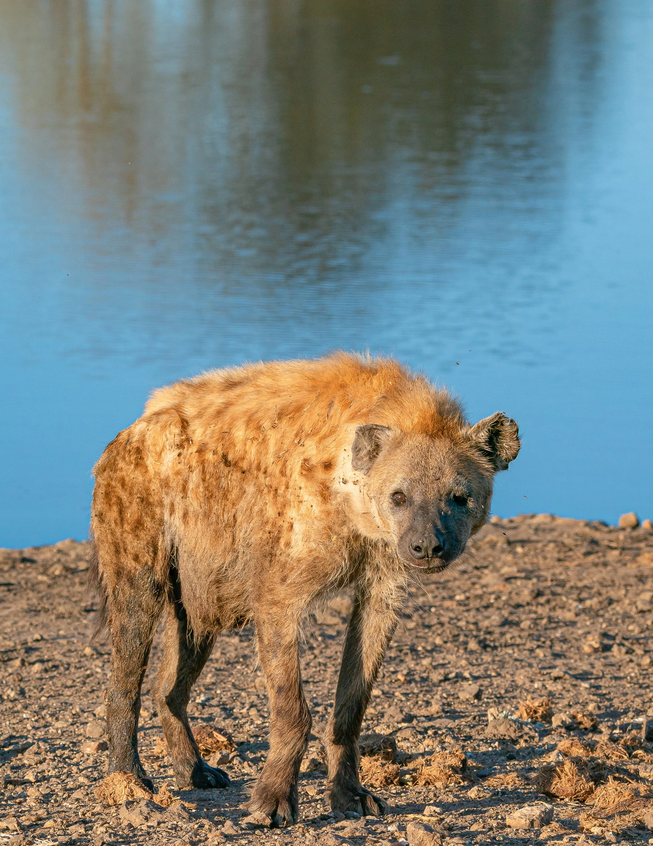 Africa2019_SLL-07336.jpg