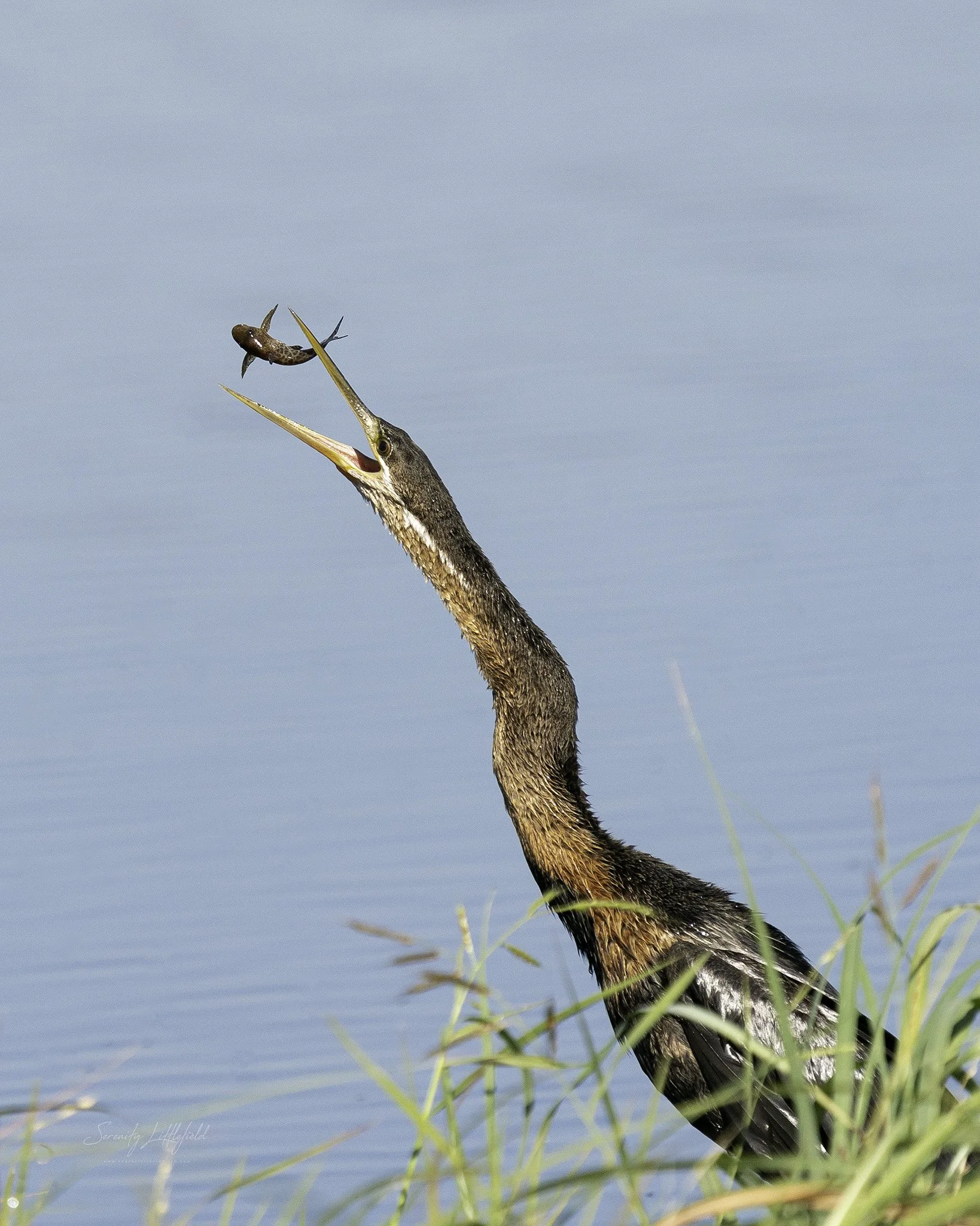 Africa_May_2022_SLL-00840-Edit.jpg