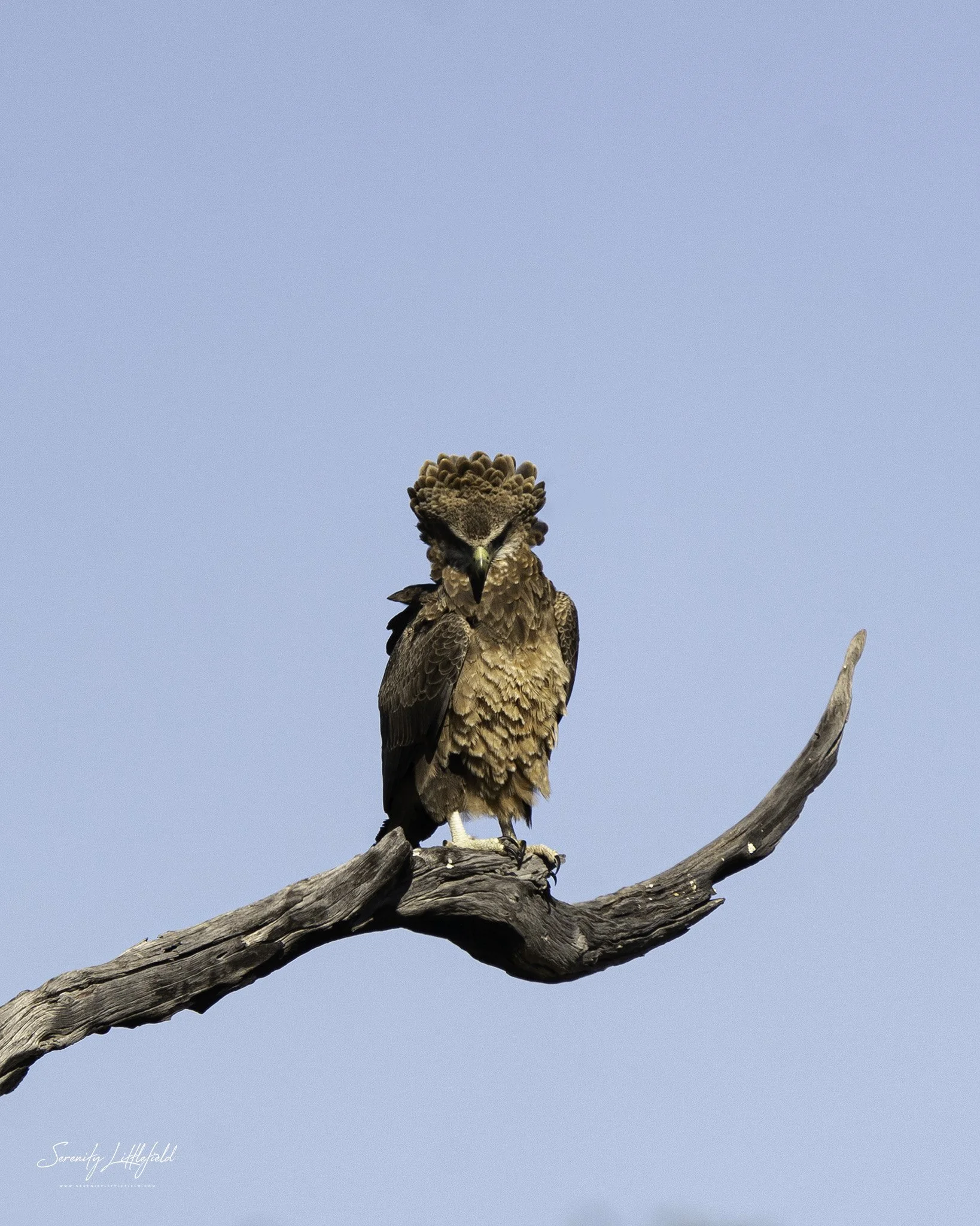 Africa_May_2022_SLL-00222-Edit.jpg